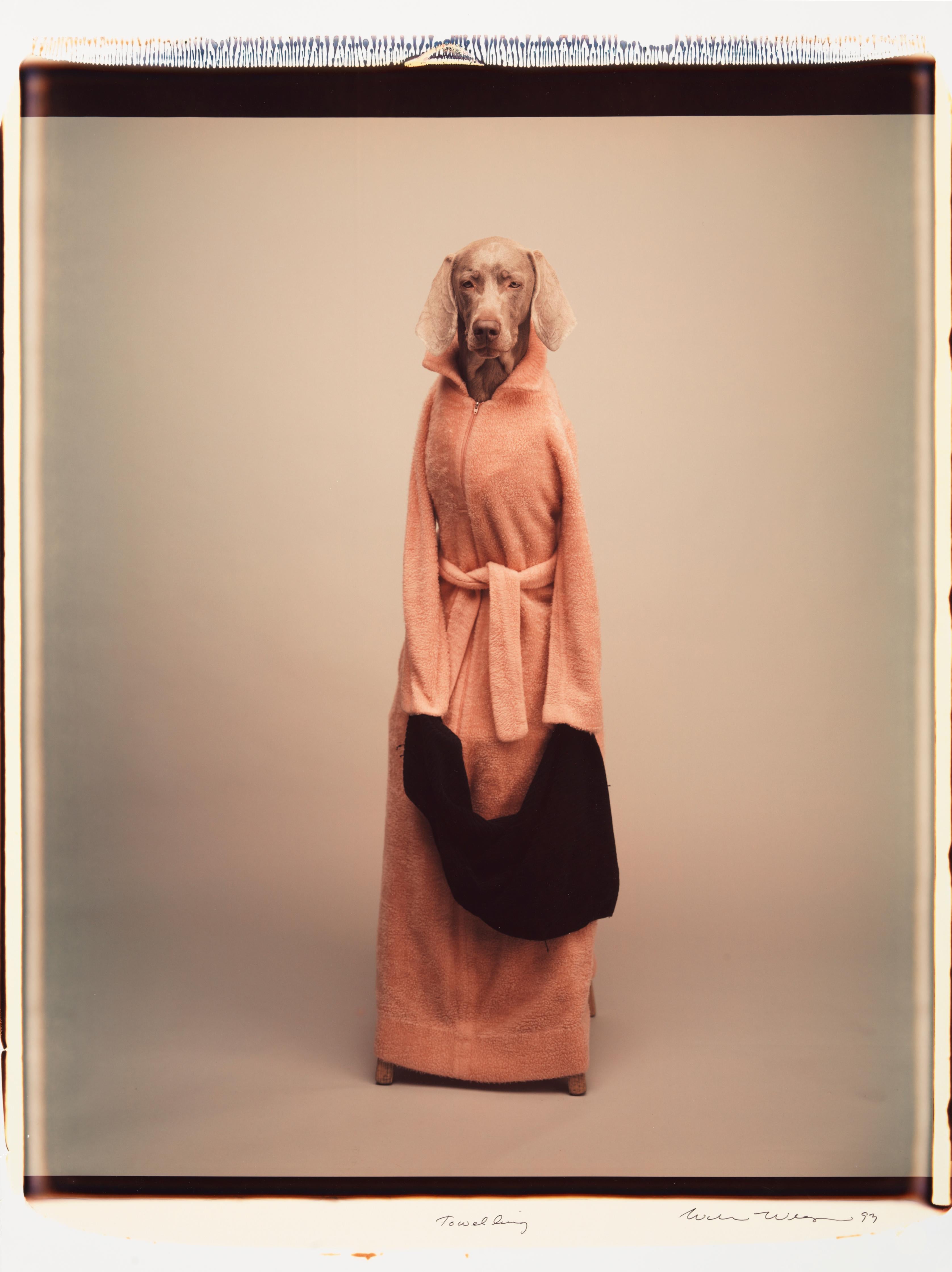 Handtuch - William Wegman (Farbfotografie)
Signiert und beschriftet mit Titel
Einzigartiger Farb-Polaroid-Druck, gedruckt 1993
24 x 20 Zoll

Die Hunde, die mit Perücken, Kostümen und Requisiten ausgestattet sind, zeigen eine breite Palette