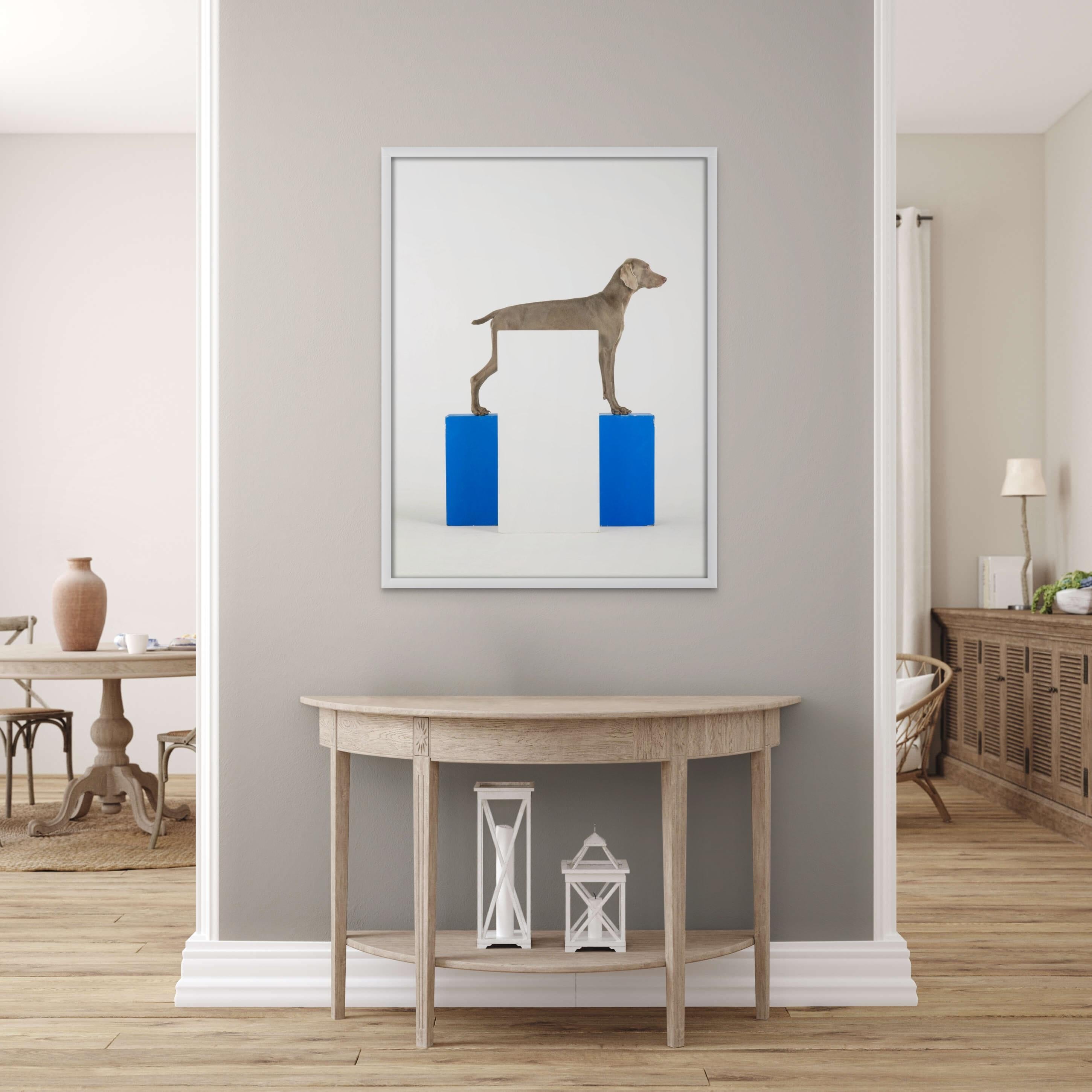 White Out – Photograph von William Wegman