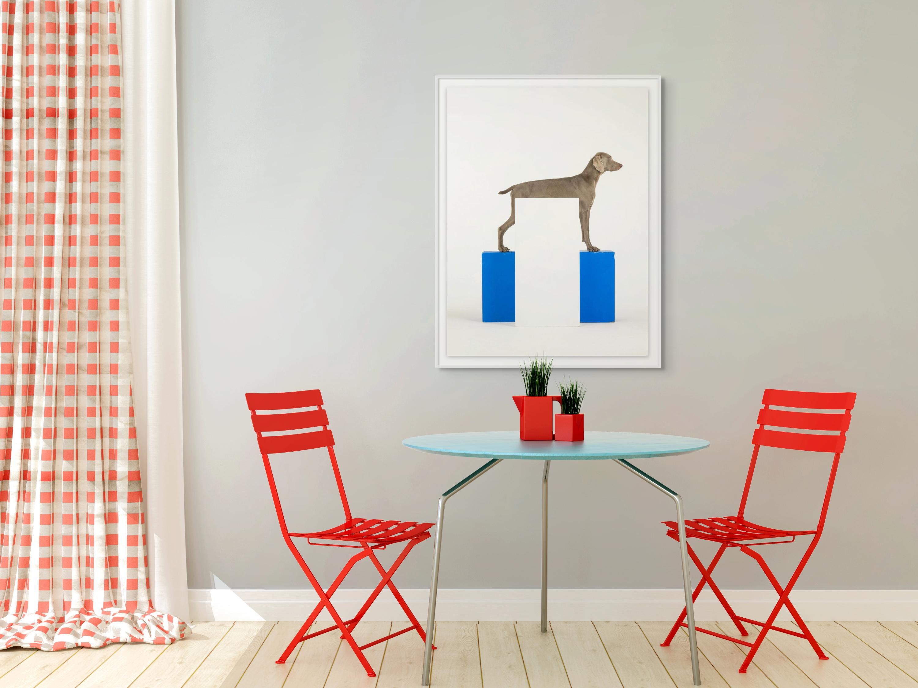 White Out (Blau), Color Photograph, von William Wegman