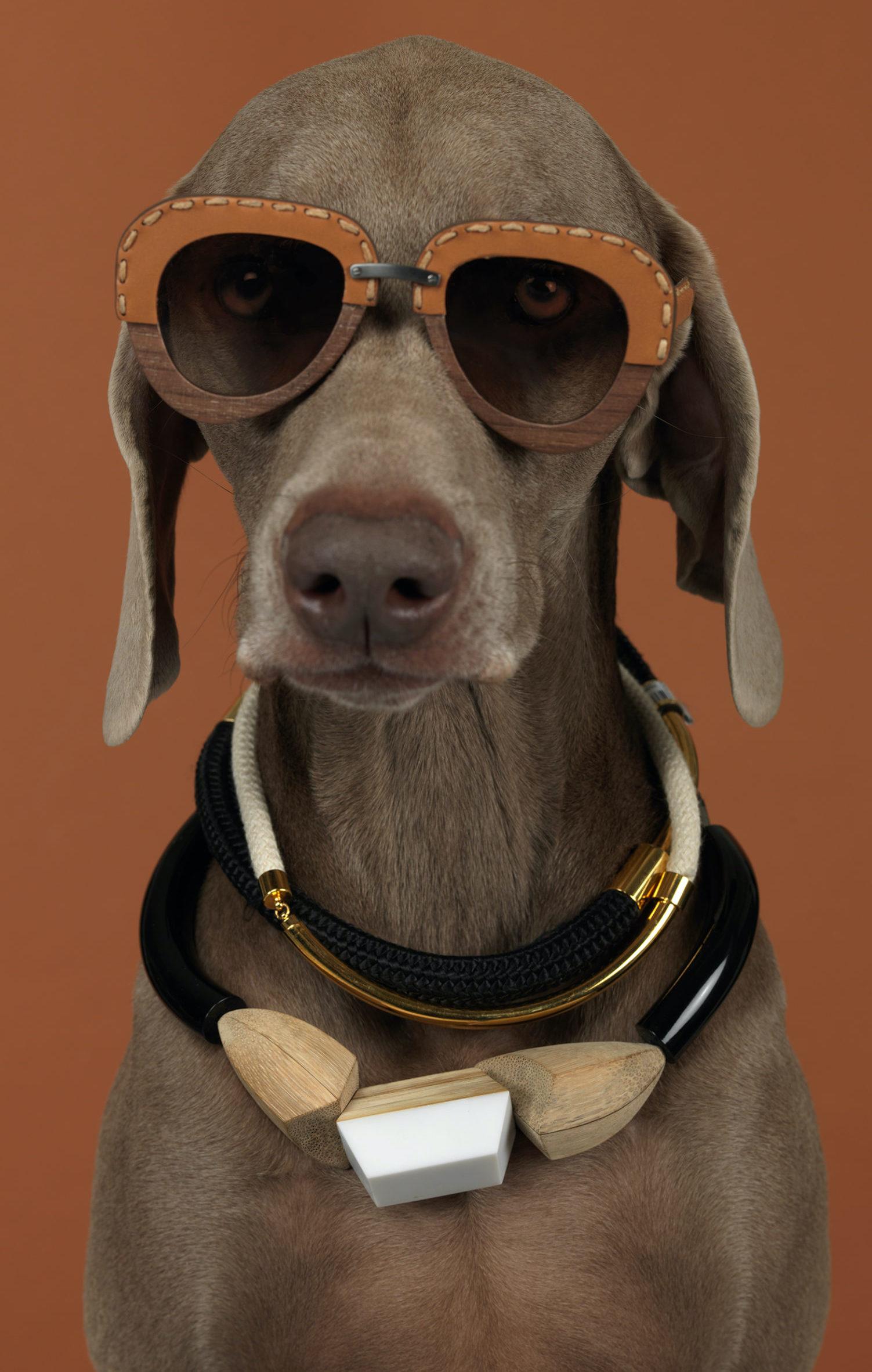 William Wegman Mondo Bizarro (Wegman Hund/William Wegman Weimaraners) 1
