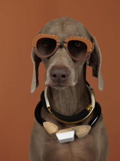 William Wegman Mondo Bizarro (Wegman Dog/William Wegman Weimaraners)