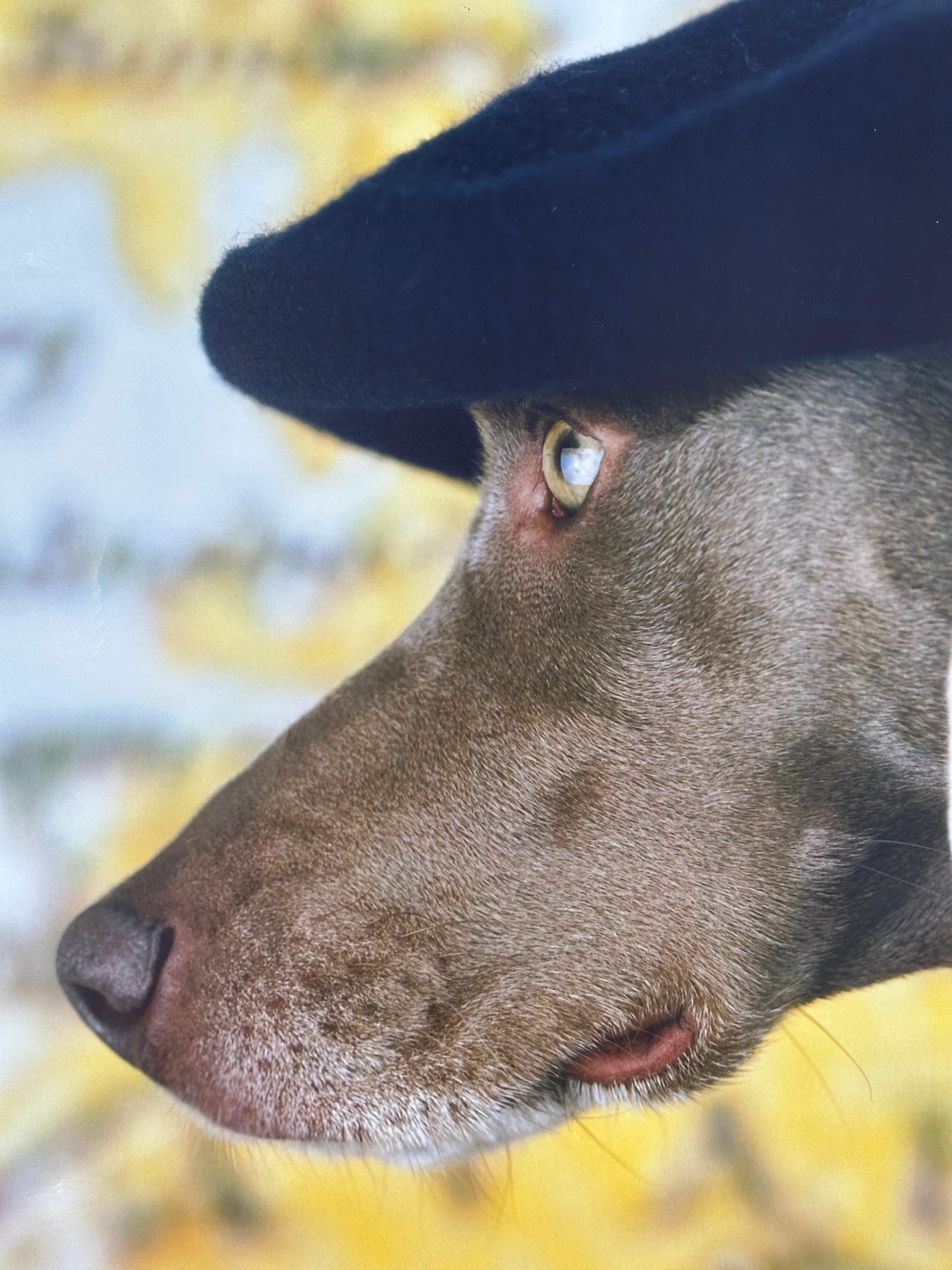 Das Mädchen vom Regiment (Realismus), Print, von William Wegman