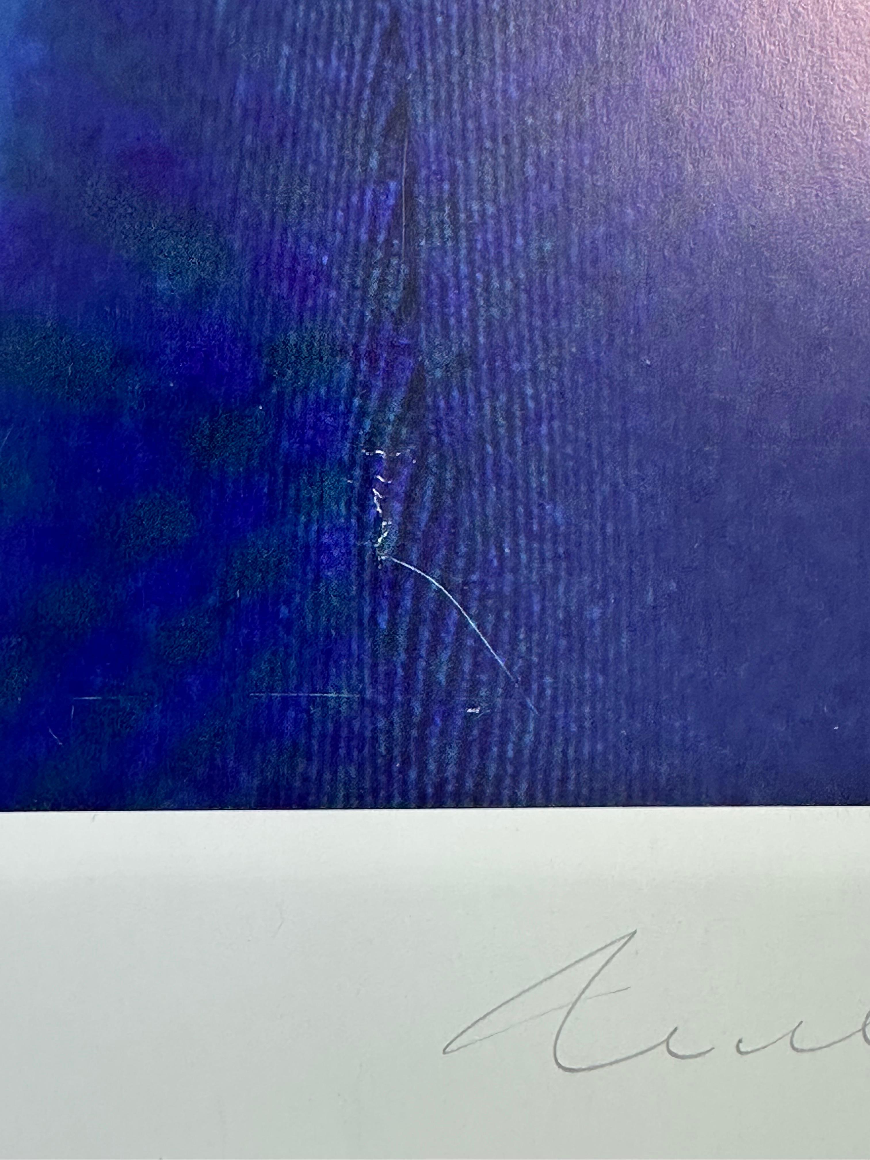 Das Mädchen vom Regiment (Grau), Animal Print, von William Wegman