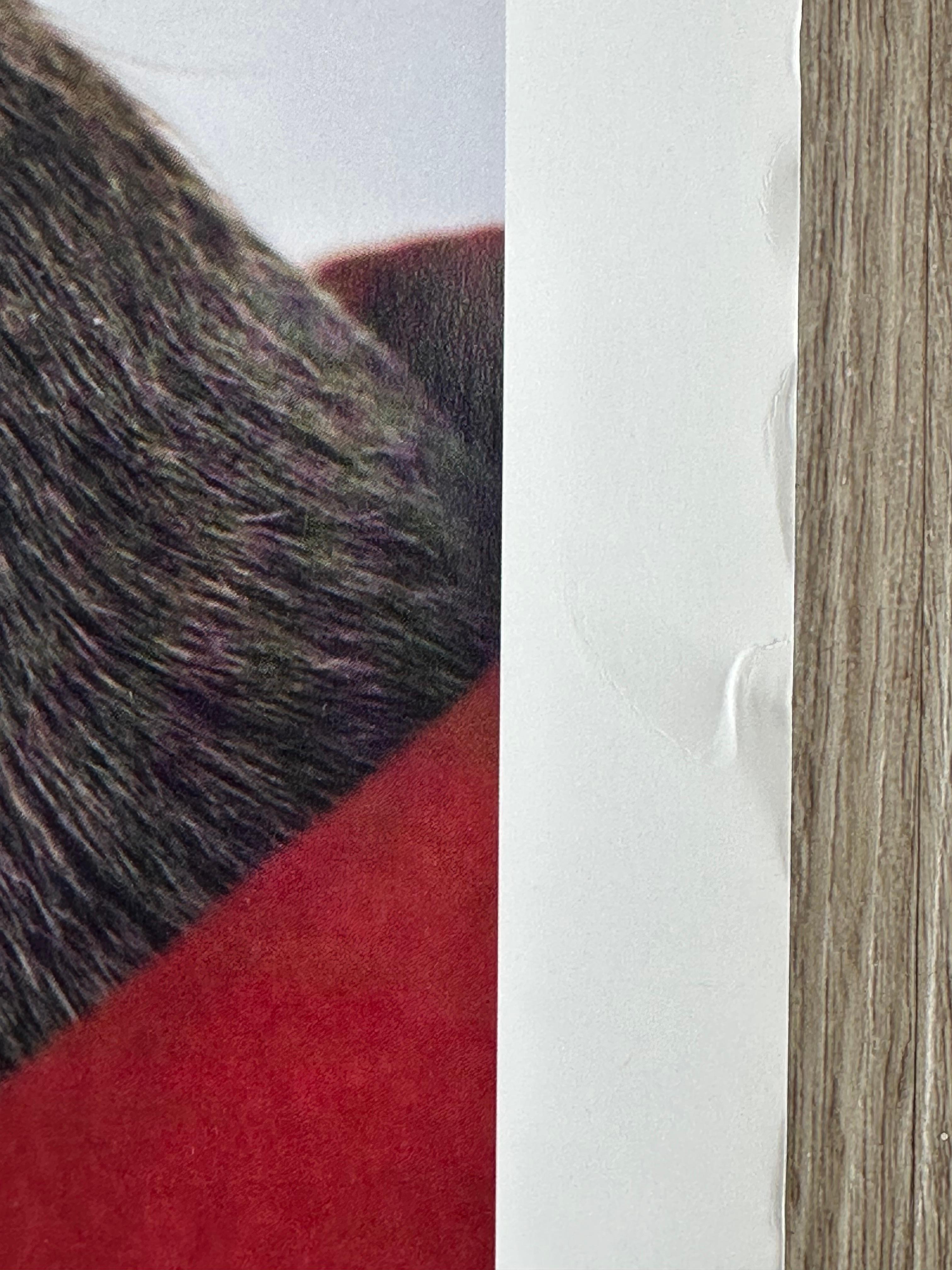 WILLIAM WEGMAN (geb. 1943)
La Fille du Régiment