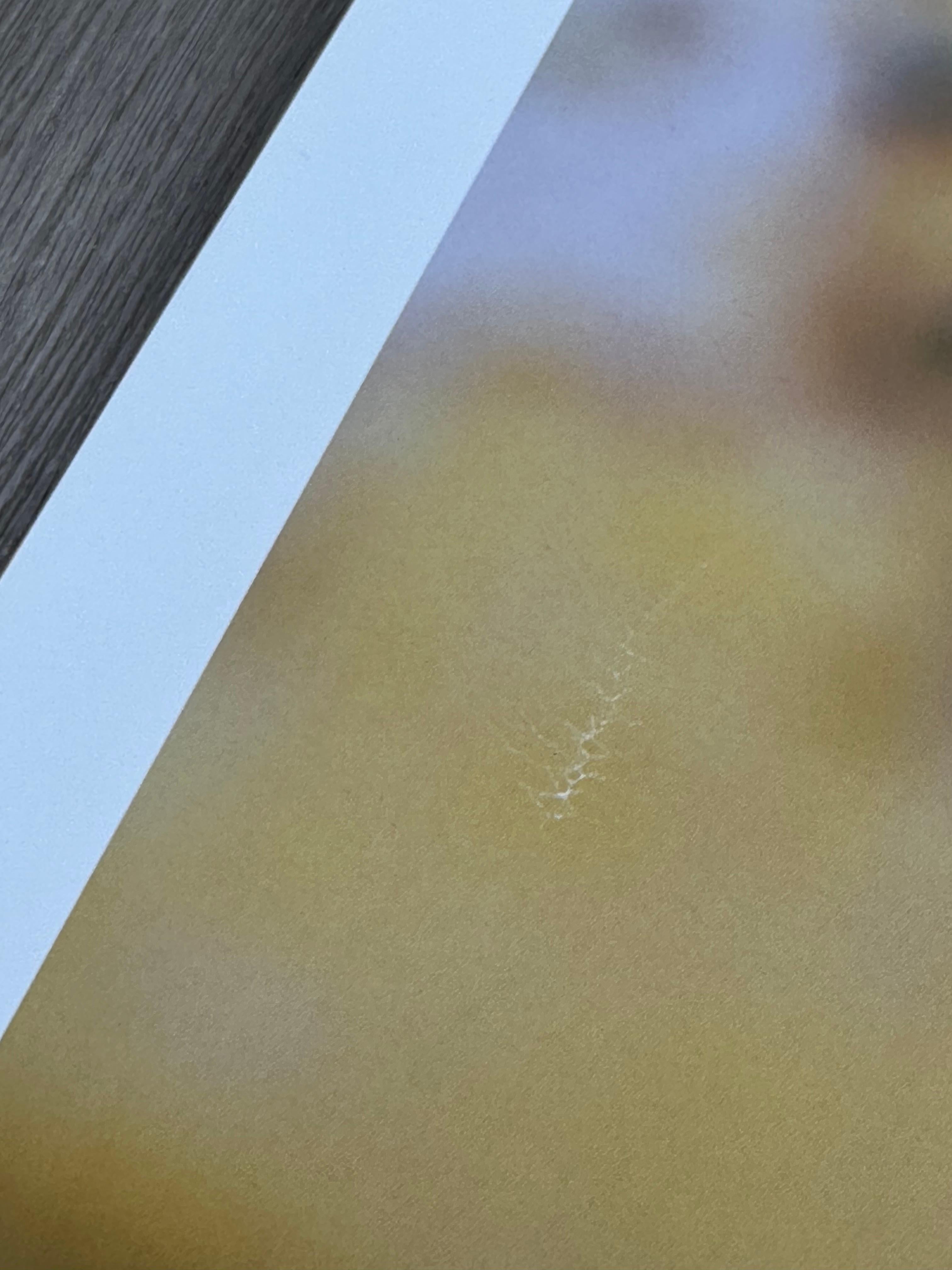 Das Mädchen vom Regiment im Angebot 1