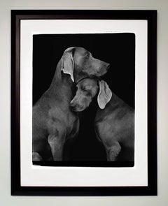 William Wegman, Friends, 2010, Pigment Print