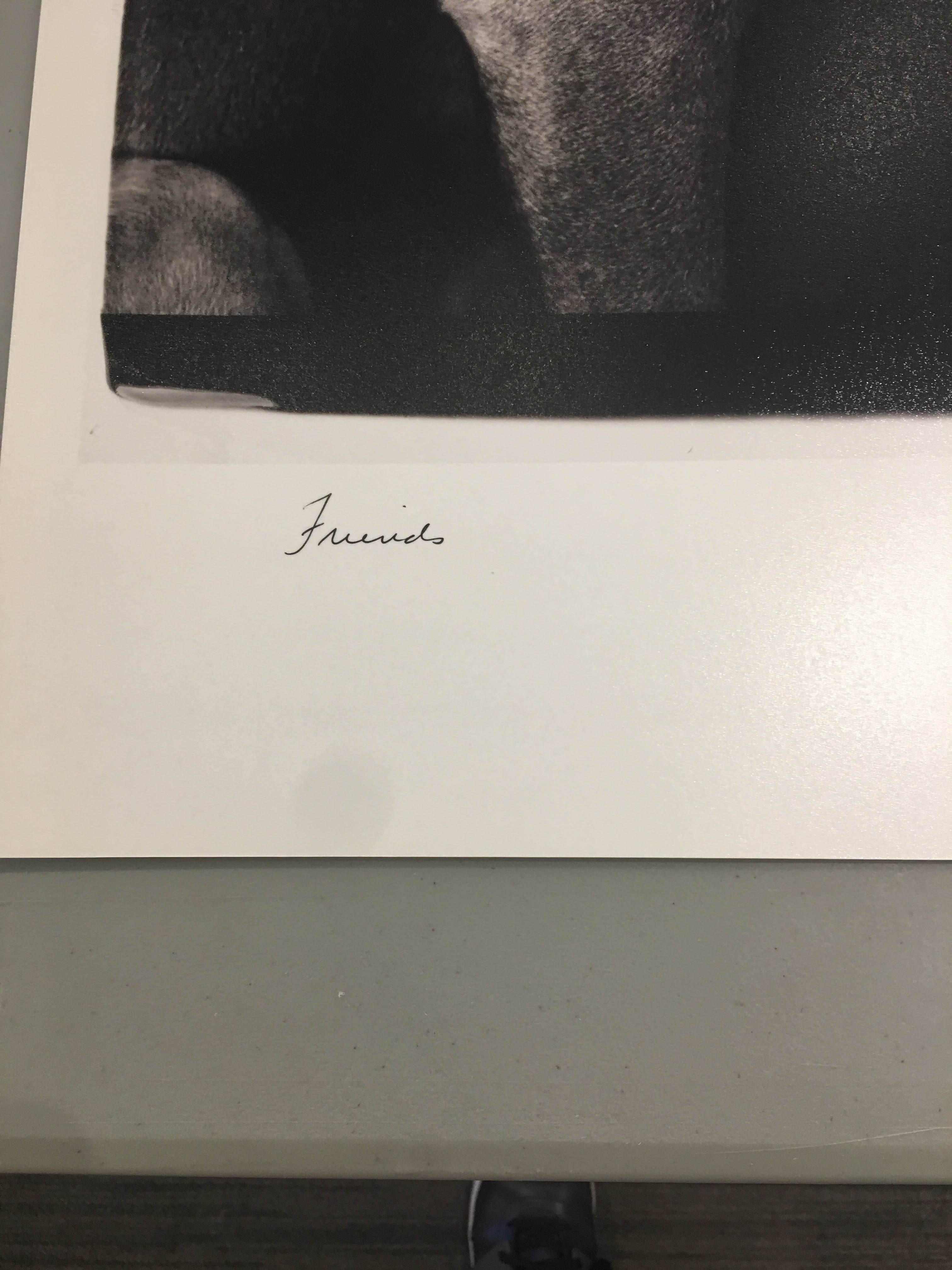 William Wegman, Friends, 2010, Pigment Print 3