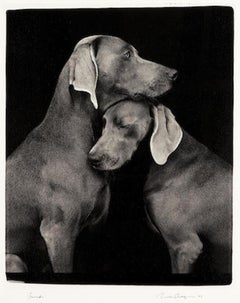 William Wegman 'Friends' Signed, Limited Edition Archival Print Photograph