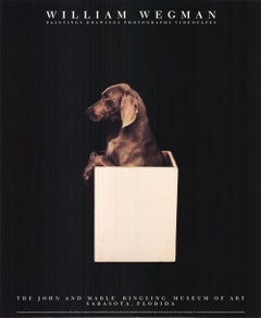 William Wegman 'Nella scatola (a destra)'