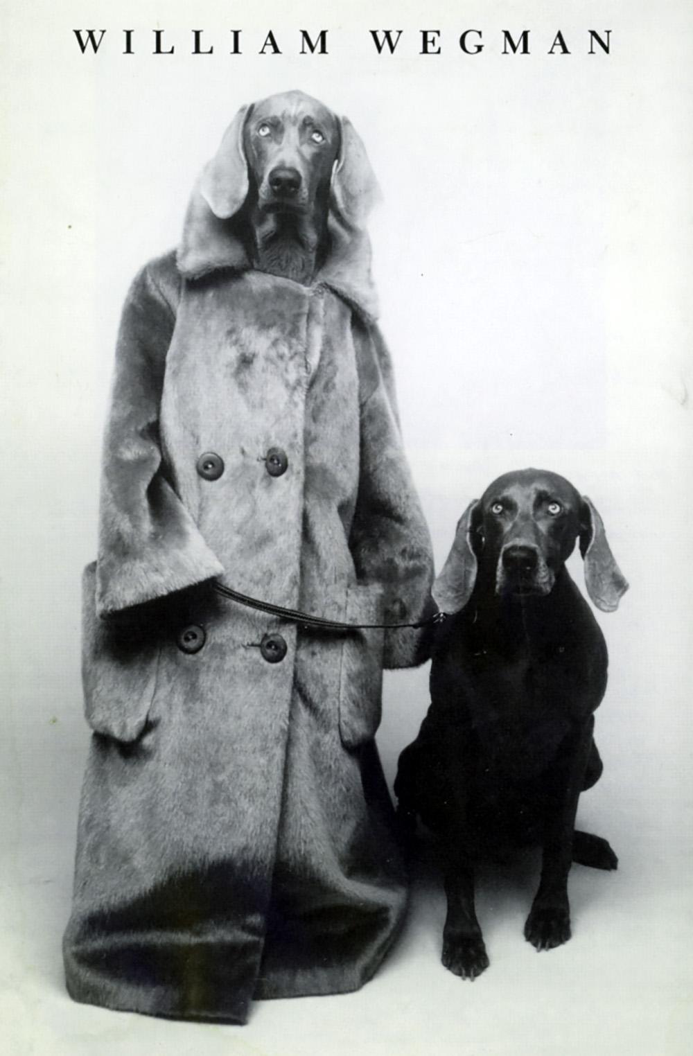 William Wegman Whitney Museum 1992 announcement (Wegman Dog Walker)