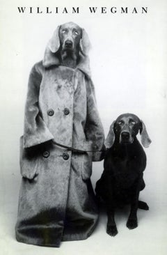 Annuncio del 1992 del Whitney Museum di William Wegman (William Walker)
