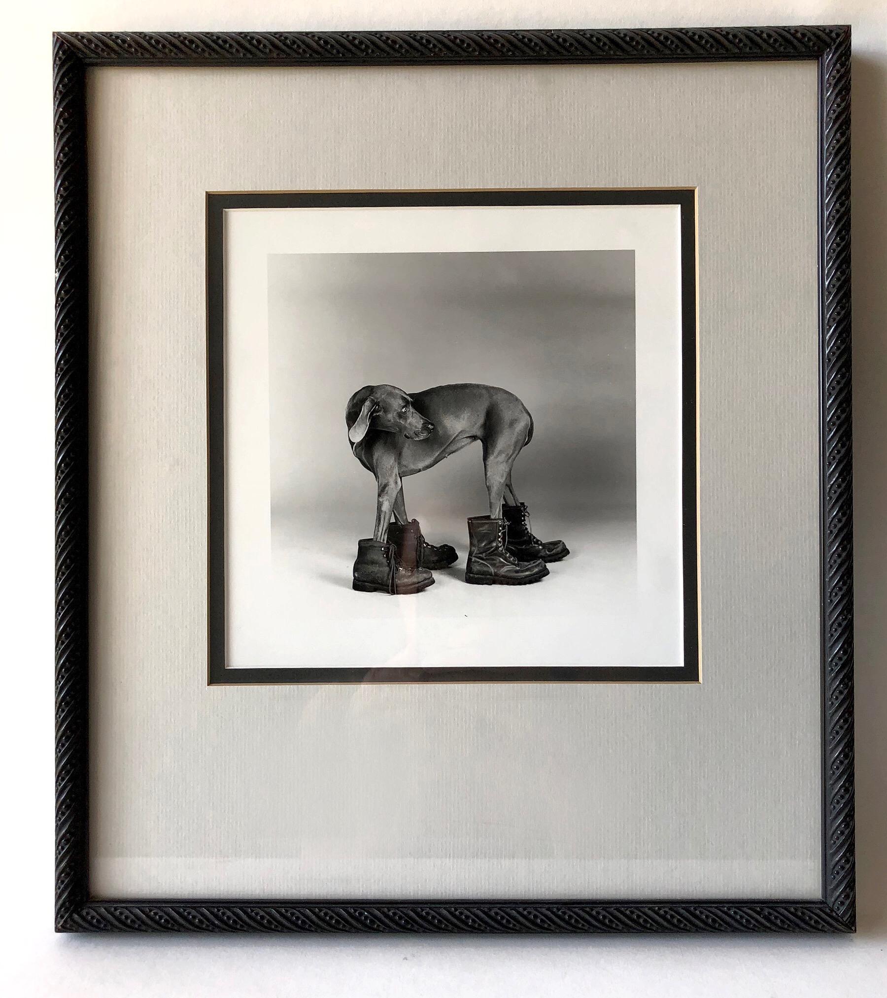 Modern William Wegman Silver Print Photograph Dog Wearing Boots, 1988