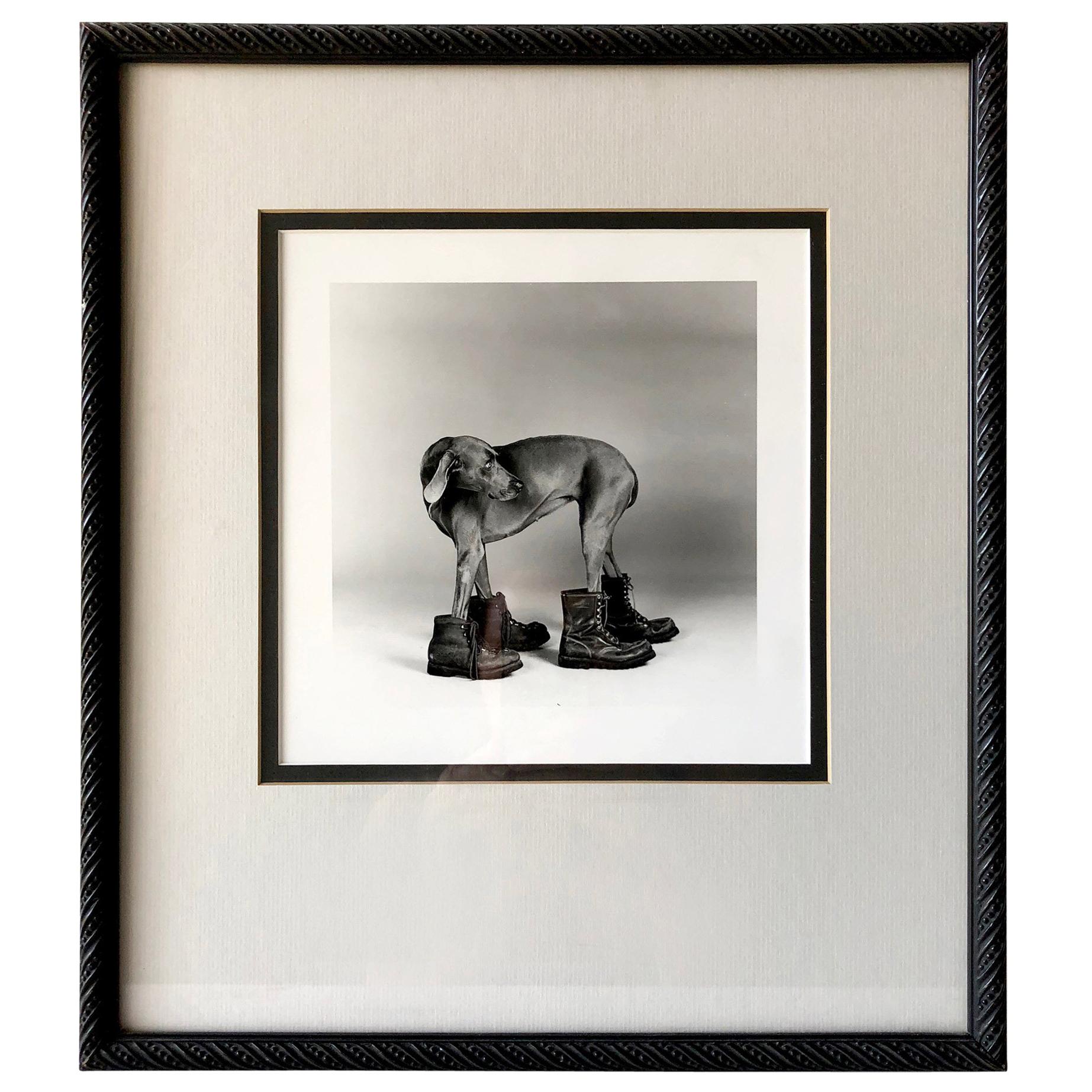 William Wegman Silver Print Photograph Dog Wearing Boots, 1988