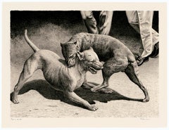 'Pups in the Pit' — American Realism