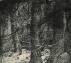 Moonlight Glade (piccola area di sepoltura privata nel New England)