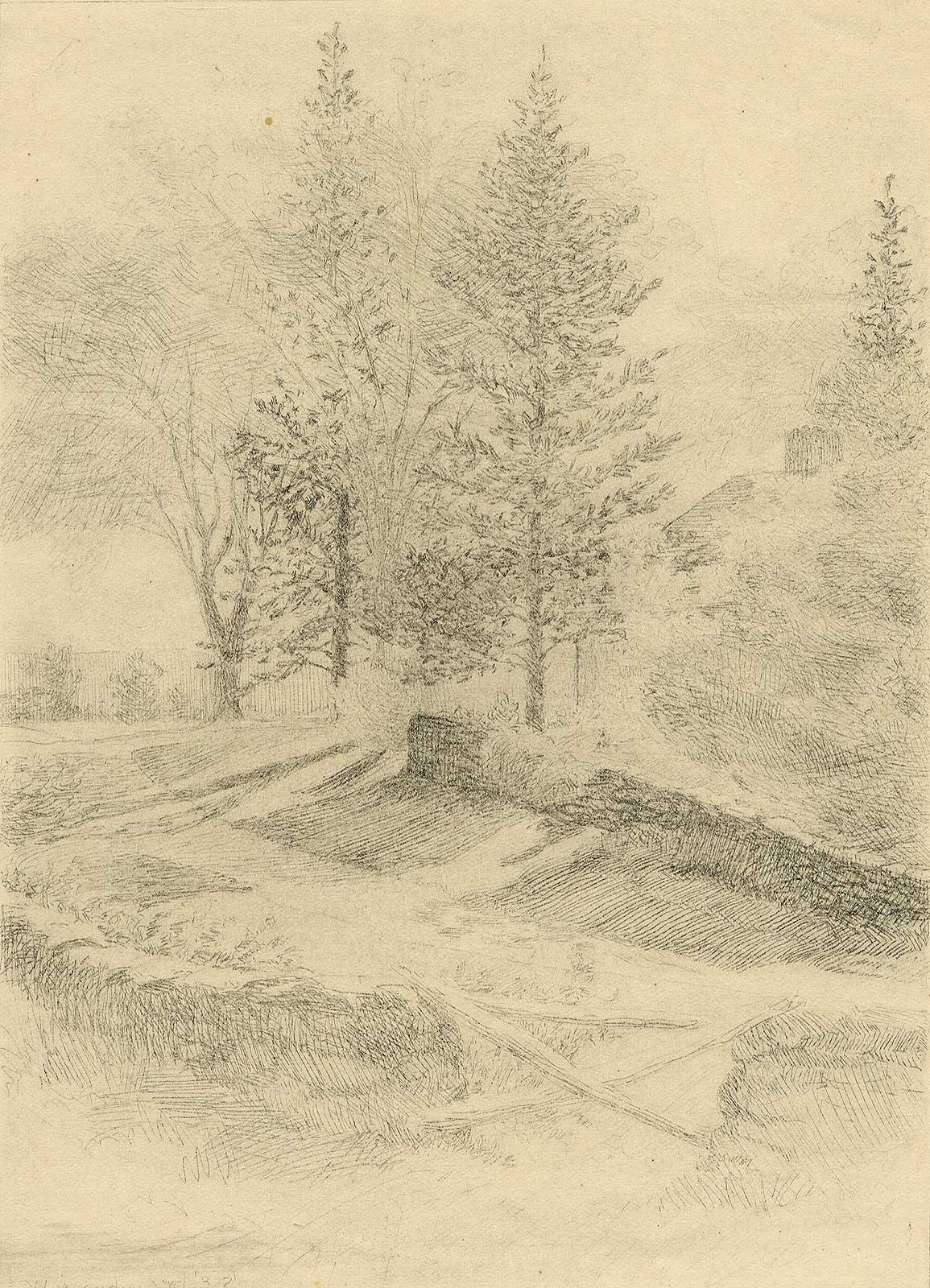 William Woodward Landscape Print - Pines