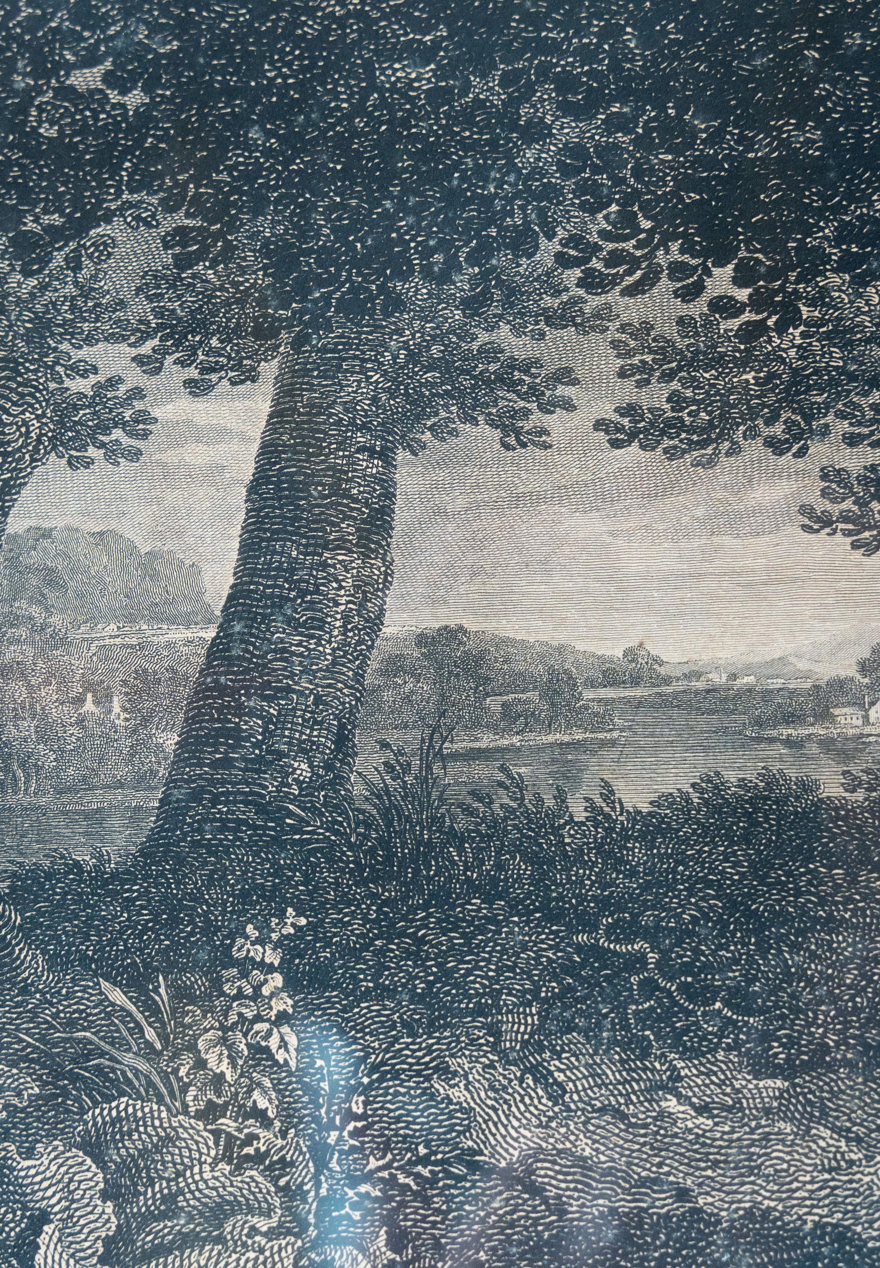 William Woollett (1735–1785)

William Woollett was one of the most accomplished British engravers of the 18th century, renowned for his precision and his ability to capture the painterly subtleties of light and atmosphere. Born in Maidstone, Kent,