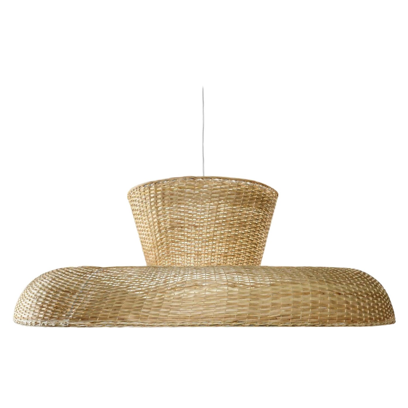 Willow Contemporary Pendant Lamp by Faina For Sale