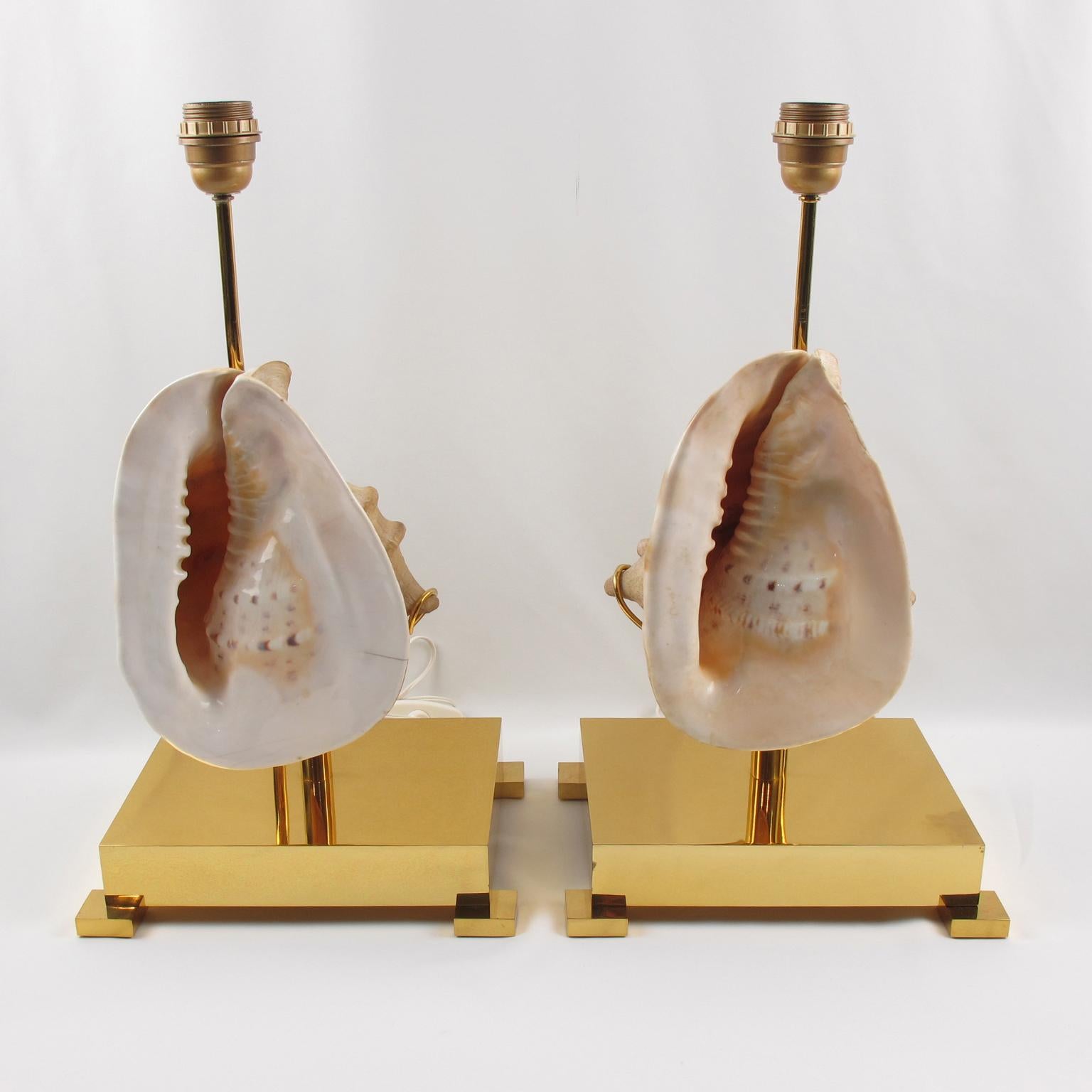 Late 20th Century Willy Daro Brass Table Lamps with Mounted Seashell, a pair