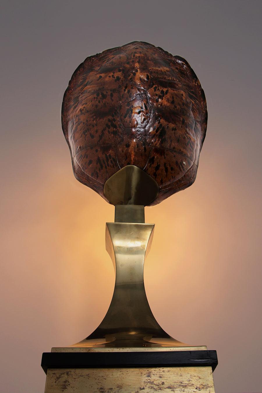 Willy Daro Floor Lamp Turtle with Brass by Maison Jansen, 1970s

Willy Daro (attribution), brass, tortoise shell, lacquered wood, France, circa 1970.

This table lamp is attributed to Willy Daro.

The piece is typical of 1970s French design, as the