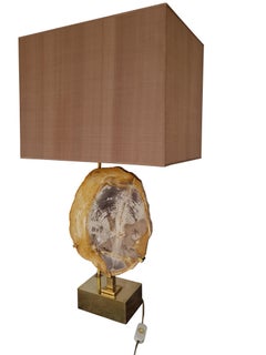 Willy Daro Petrified Wooden Lamp Mounted on a Brass Base