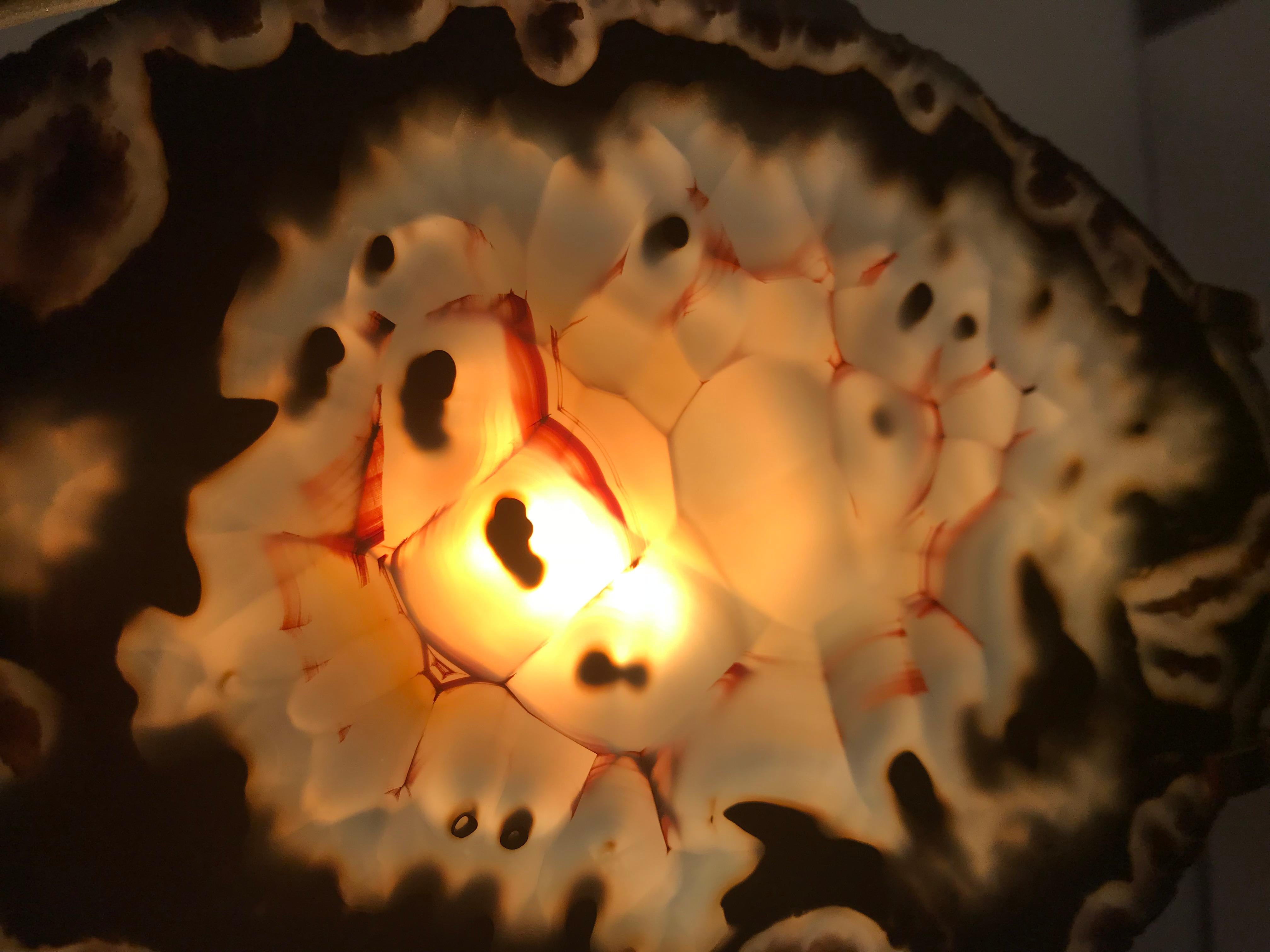 Mid-Century Modern Lampe de table Willy Daro en vente