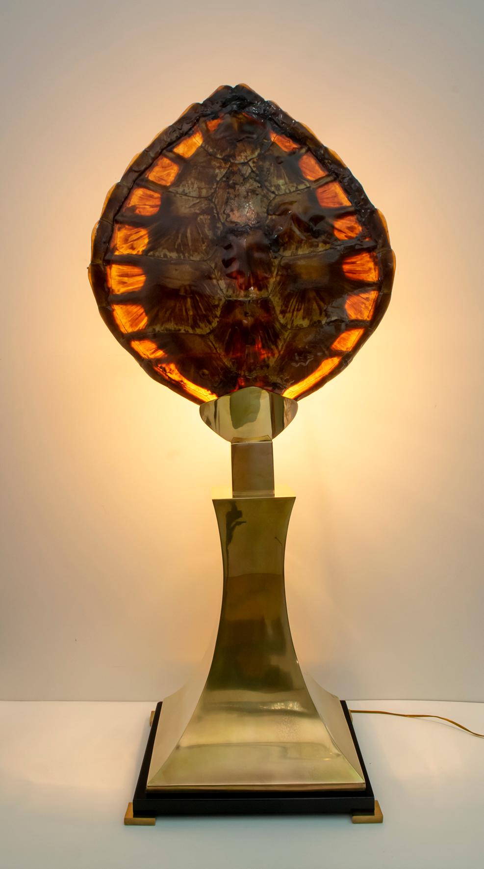 Turtle Shell and Brass Table Lamp, Attrib. to Willy Daro For Sale 8