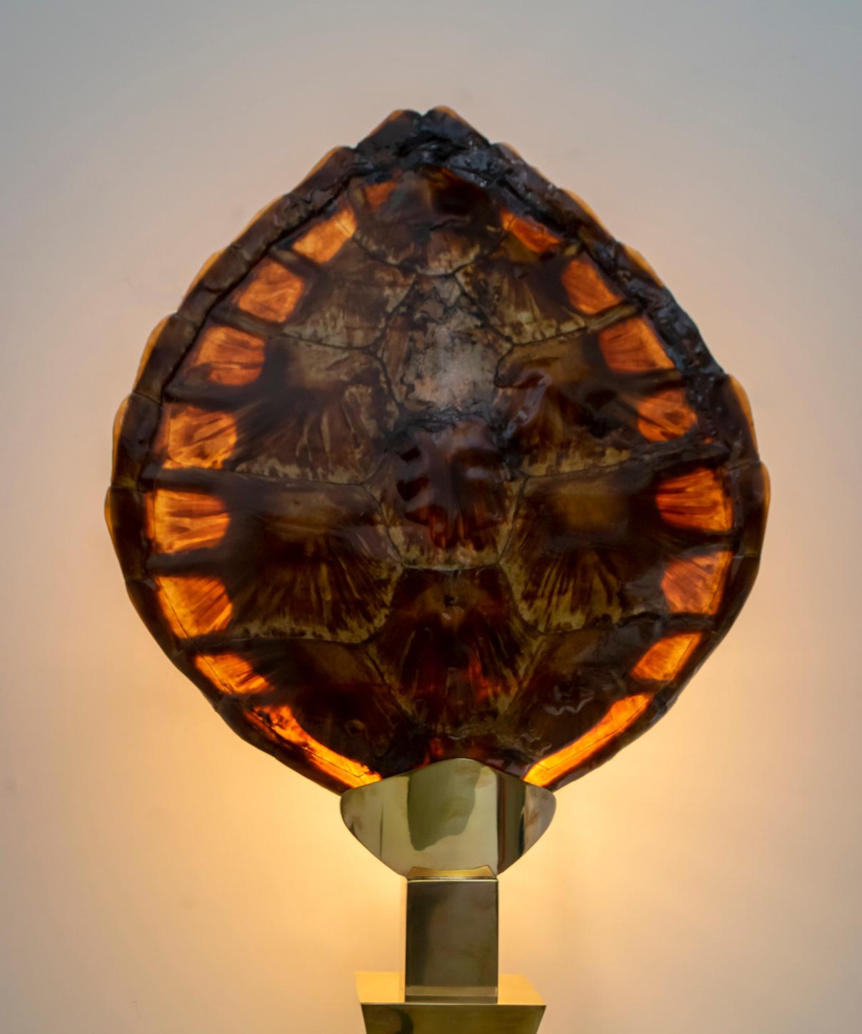 Willy Daro (attribution), brass, tortoiseshell, lacquered wood, France, circa 1970. This table lamp is attributed to Willy Dari. The piece is typical of 1970s French design, as the style of the time was very functionalist, objective and had