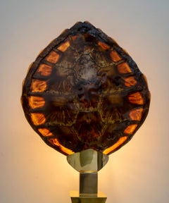 Turtle Shell and Brass Table Lamp, Attrib. to Willy Daro