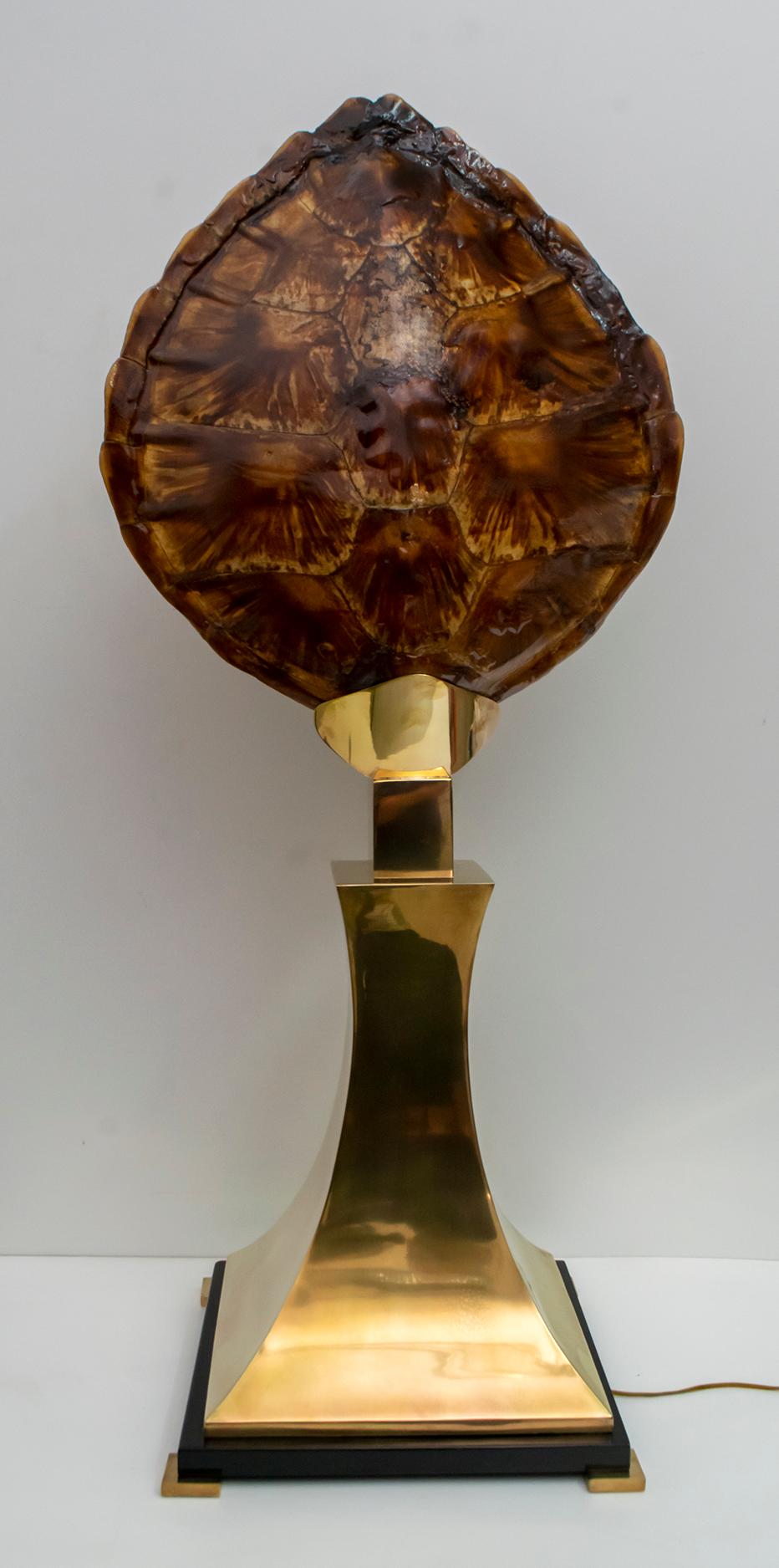 Willy Daro Schildkrötenpanzer-Tischlampe aus Messing für Maison Jansen, 1970er Jahre (Moderne der Mitte des Jahrhunderts) im Angebot