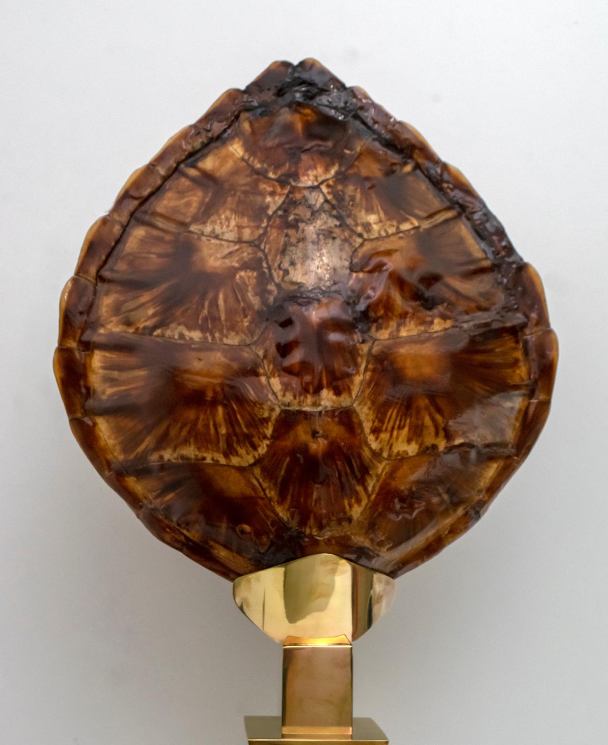 Willy Daro Schildkrötenpanzer-Tischlampe aus Messing für Maison Jansen, 1970er Jahre (Französisch) im Angebot