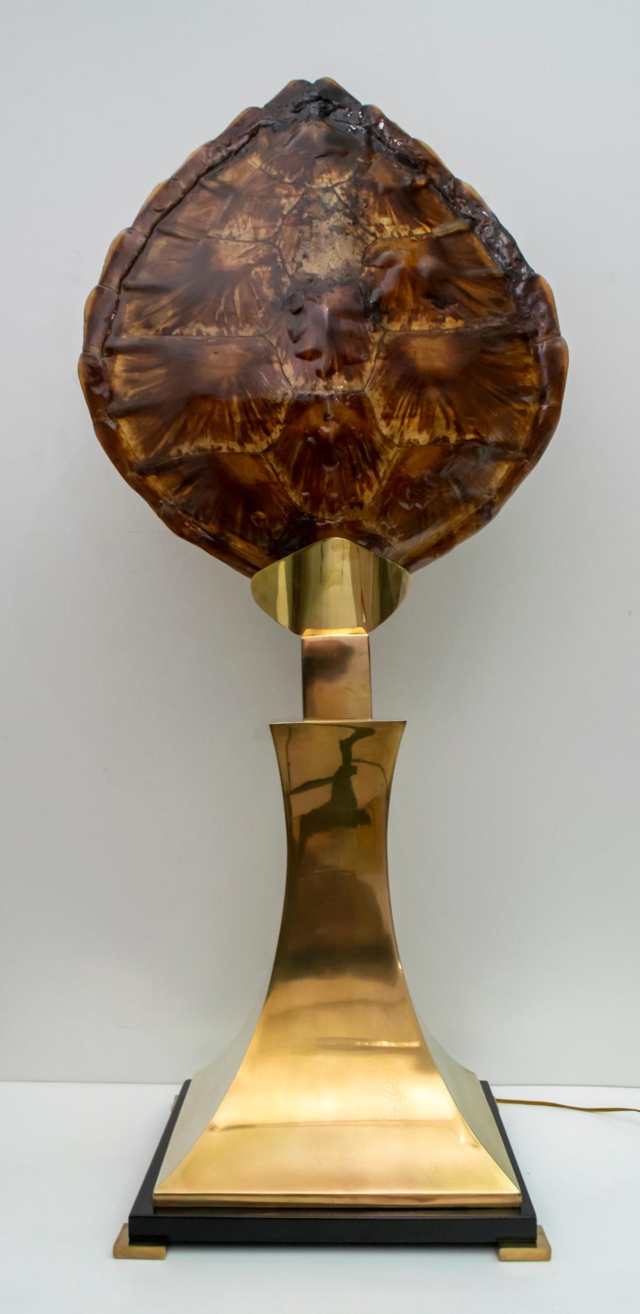 Late 20th Century Willy Daro Turtle Shell and Brass Table Lamp for Maison Jansen, 1970s For Sale