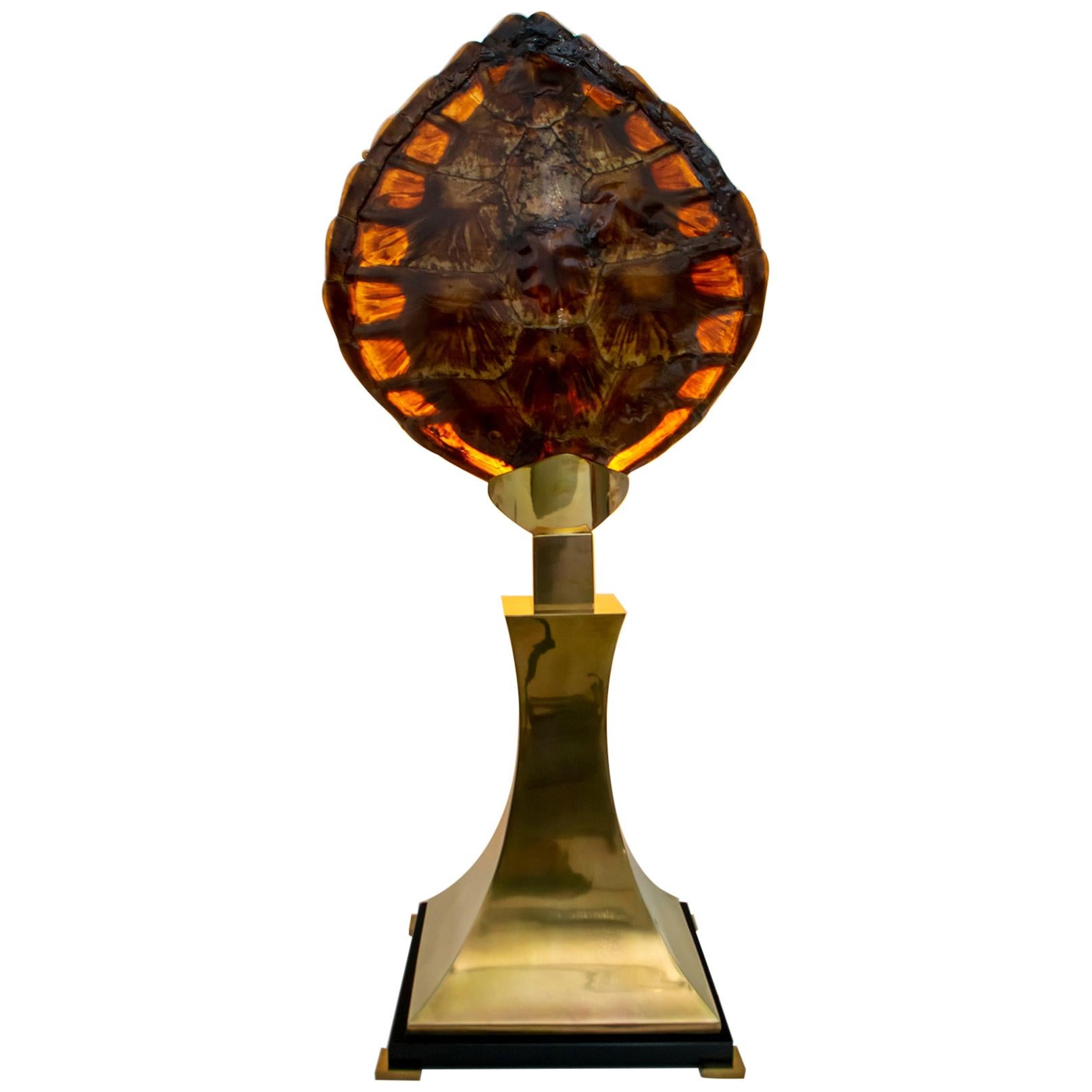 Lampada da tavolo in ottone e guscio di tartaruga, attribuita a Willy Daro