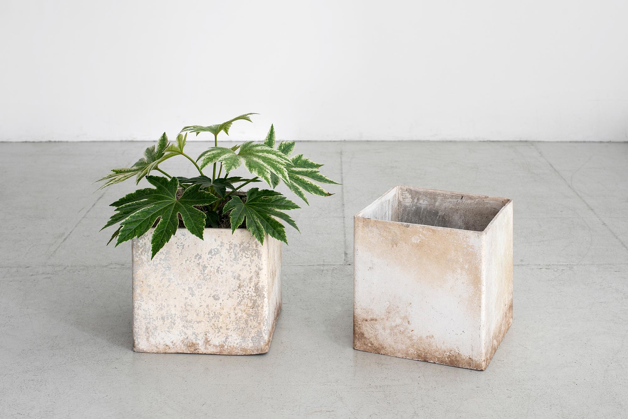 Table top Willy Guhl Cube shaped planter. 
Great patina. Measure: 12
