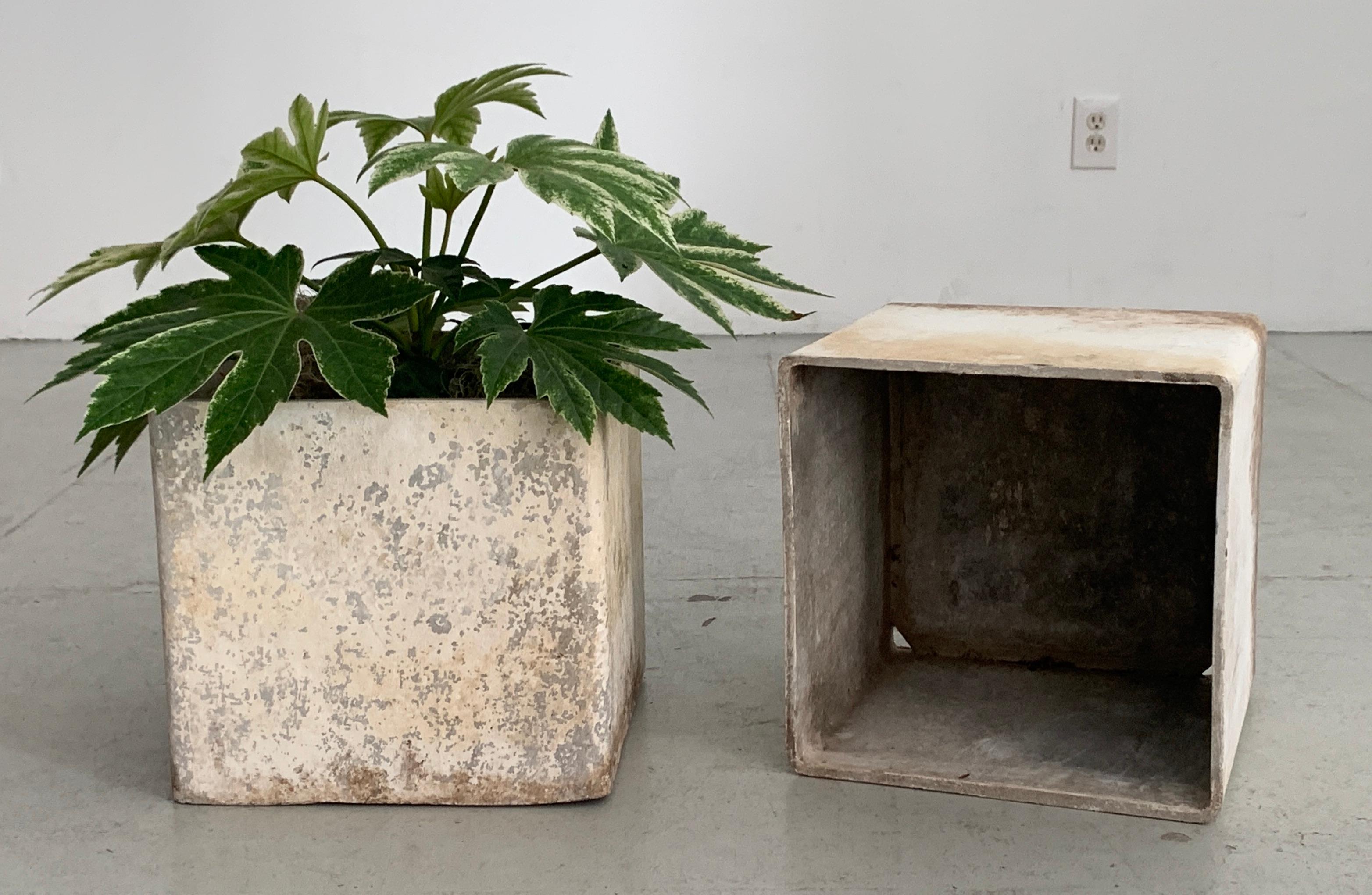 Cement Willy Guhl Cube Planter