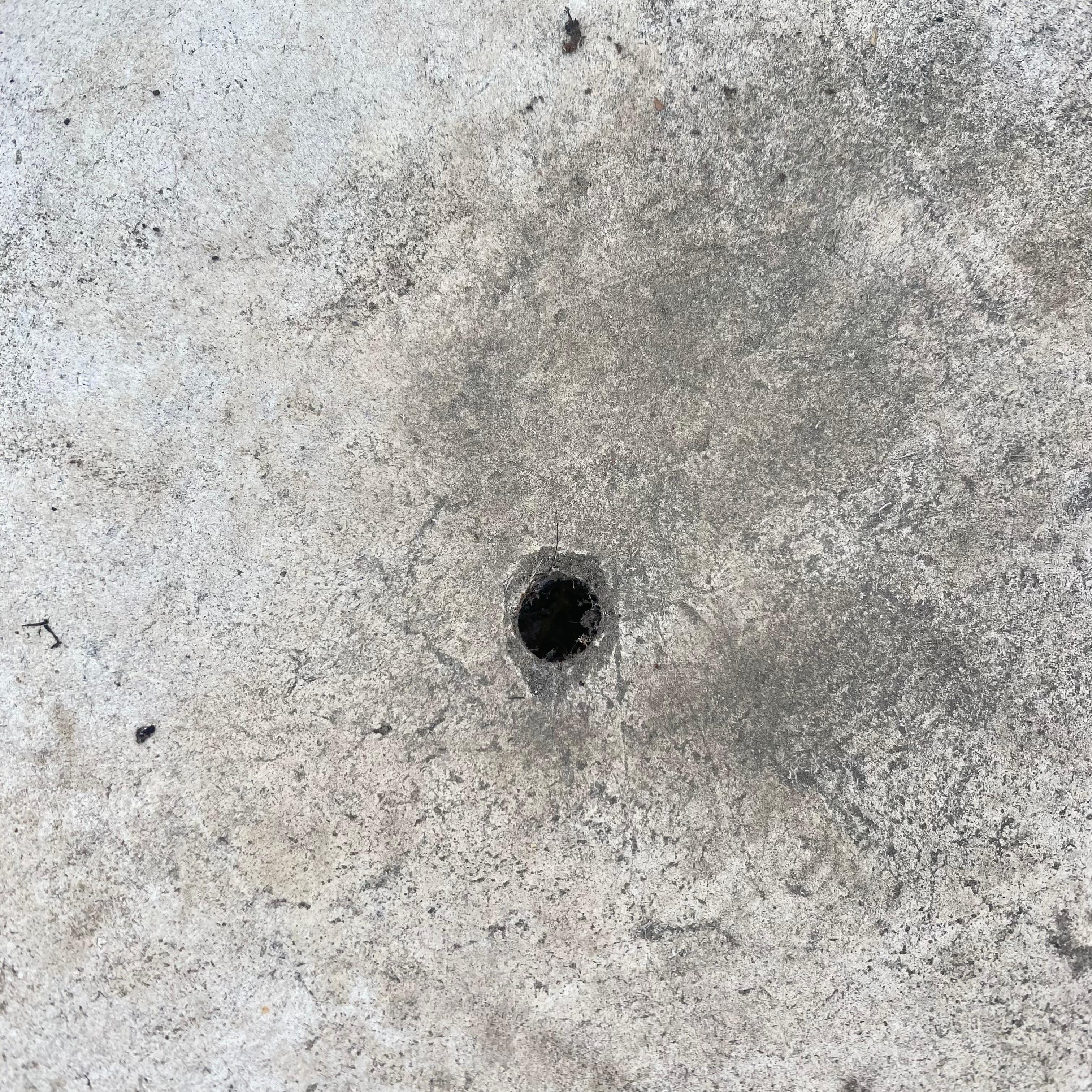 Bol en béton Willy Guhl 23