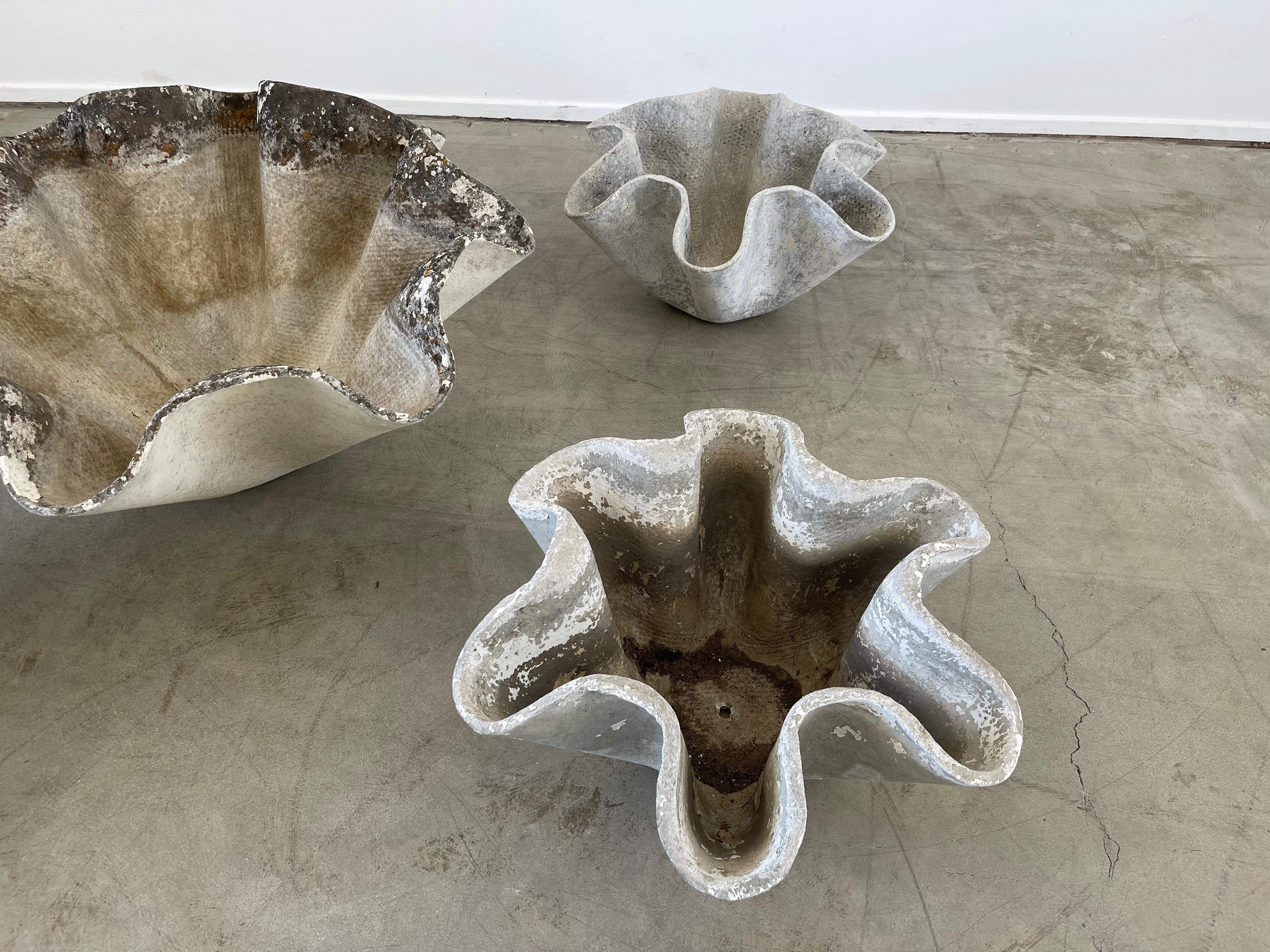 Concrete Willy Guhl Biomorphic Pots