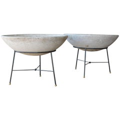 Vintage Willy Guhl Cement and Fiberglass Planter, Switzerland, 1950s