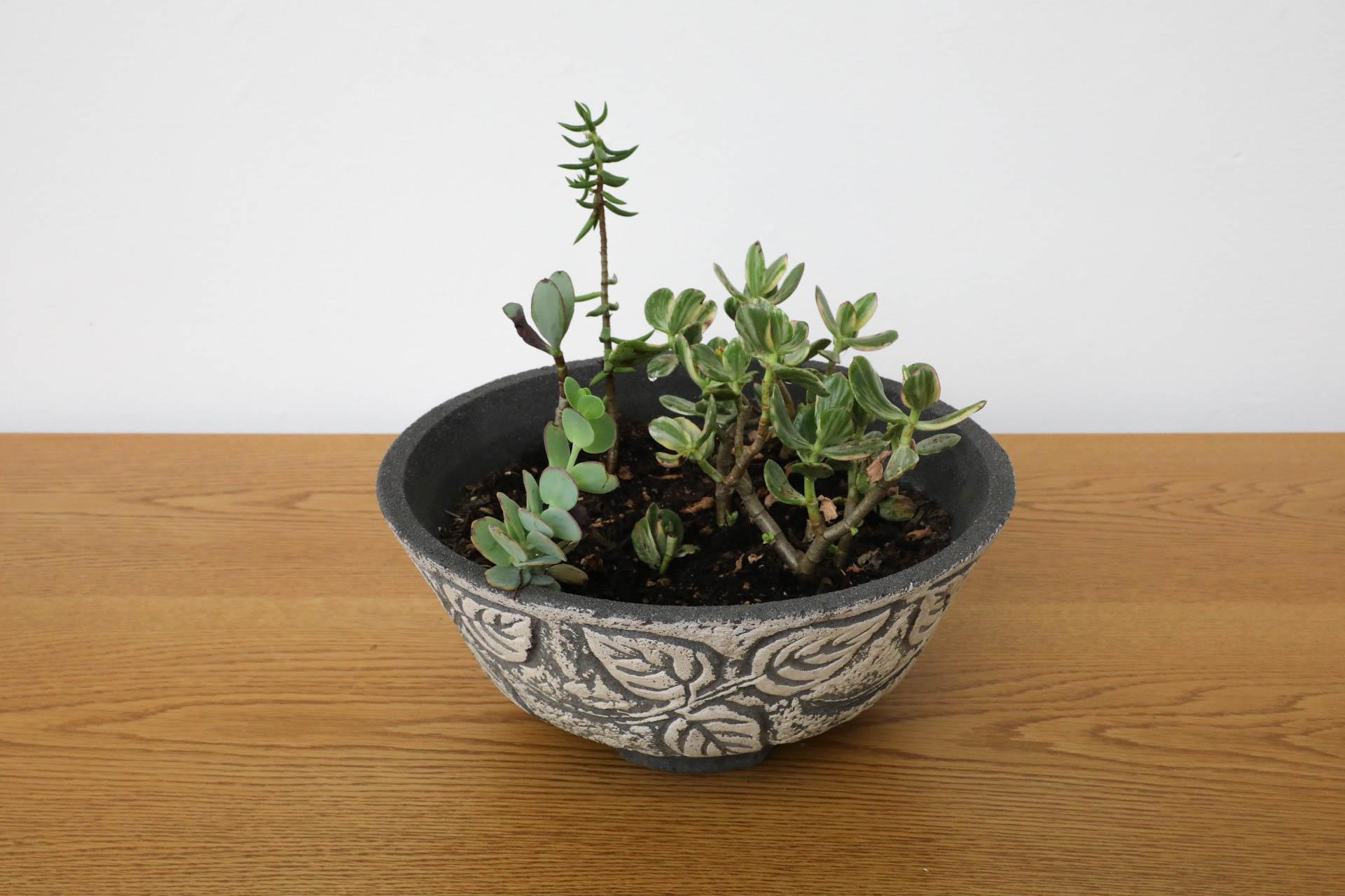 Cast Willy Guhl Style Cement Planter with Ivy Pattern