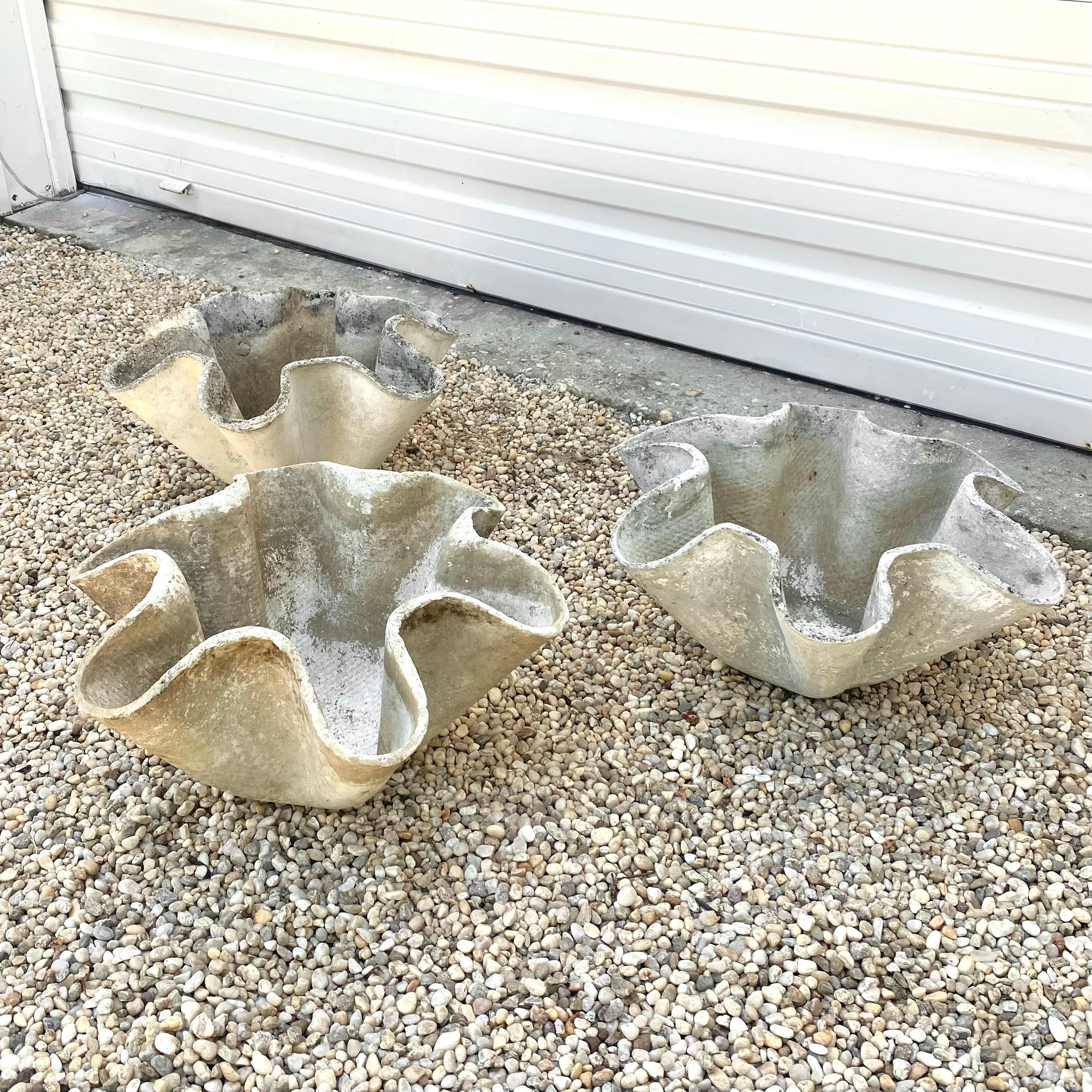 Tauchen Sie ein in den Sommer mit diesen wunderschönen Pflanzgefäßen aus Muschelschalen. Die von Willy Guhl entworfenen biomorphen Silhouetten stammen direkt vom Meeresgrund. Jedes handgefertigte Pflanzgefäß ist ein Unikat mit feinen Variationen in
