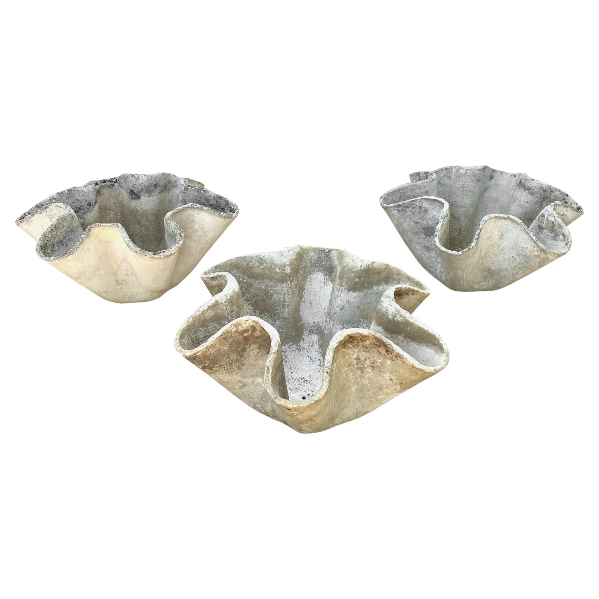 Willy Guhl Muschelschalen-Pflanzgefäße, 1960er Jahre Schweiz im Angebot