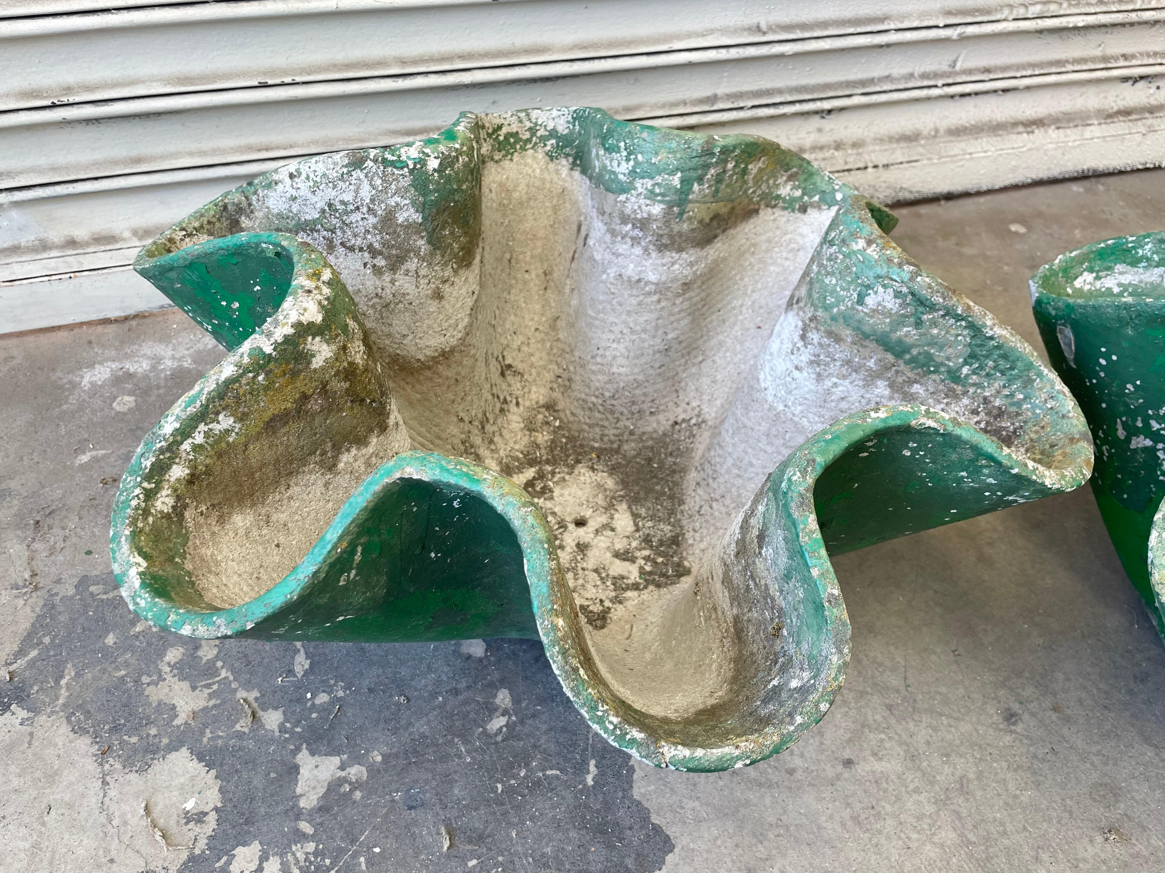 Concrete Willy Guhl Clam Shell Planters For Sale