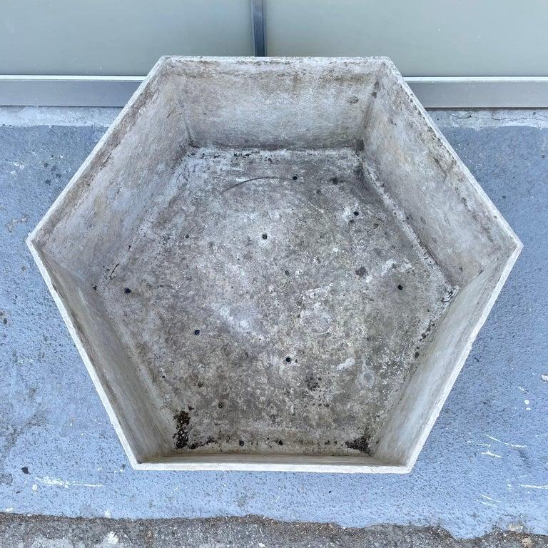 Mid-20th Century Willy Guhl Concrete Hexagon Planter, 1960s, Switzerland