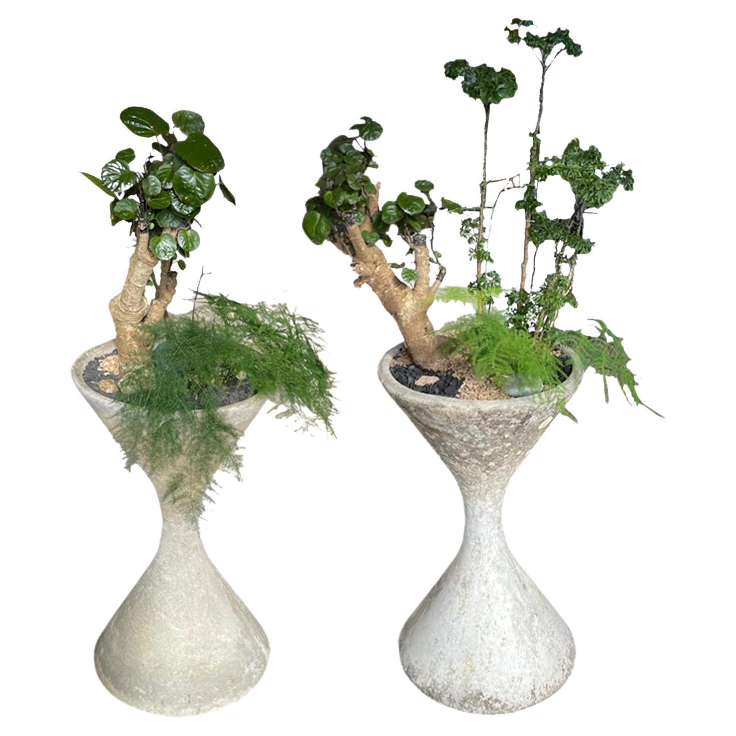 Willy Guhl Diabolo Planters For Sale