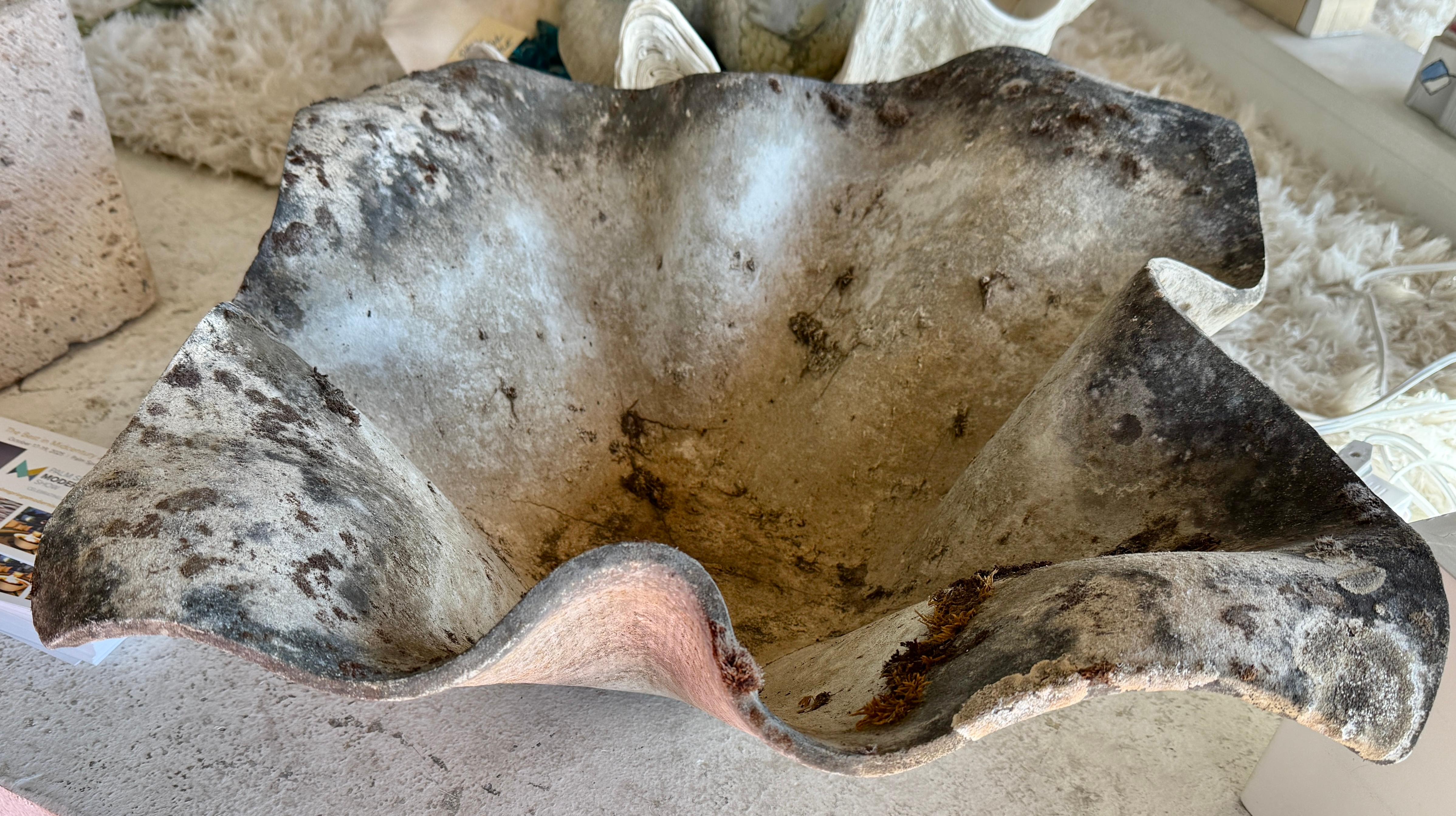 Una bonita maceta Willy Guhl con forma de oreja de elefante o pañuelo sin agujeros taladrados de fábrica. Bonita pátina crujiente con  zonas de líquenes y musgos. En buen estado en general, con algunos desconchones en los bordes y unas pequeñas