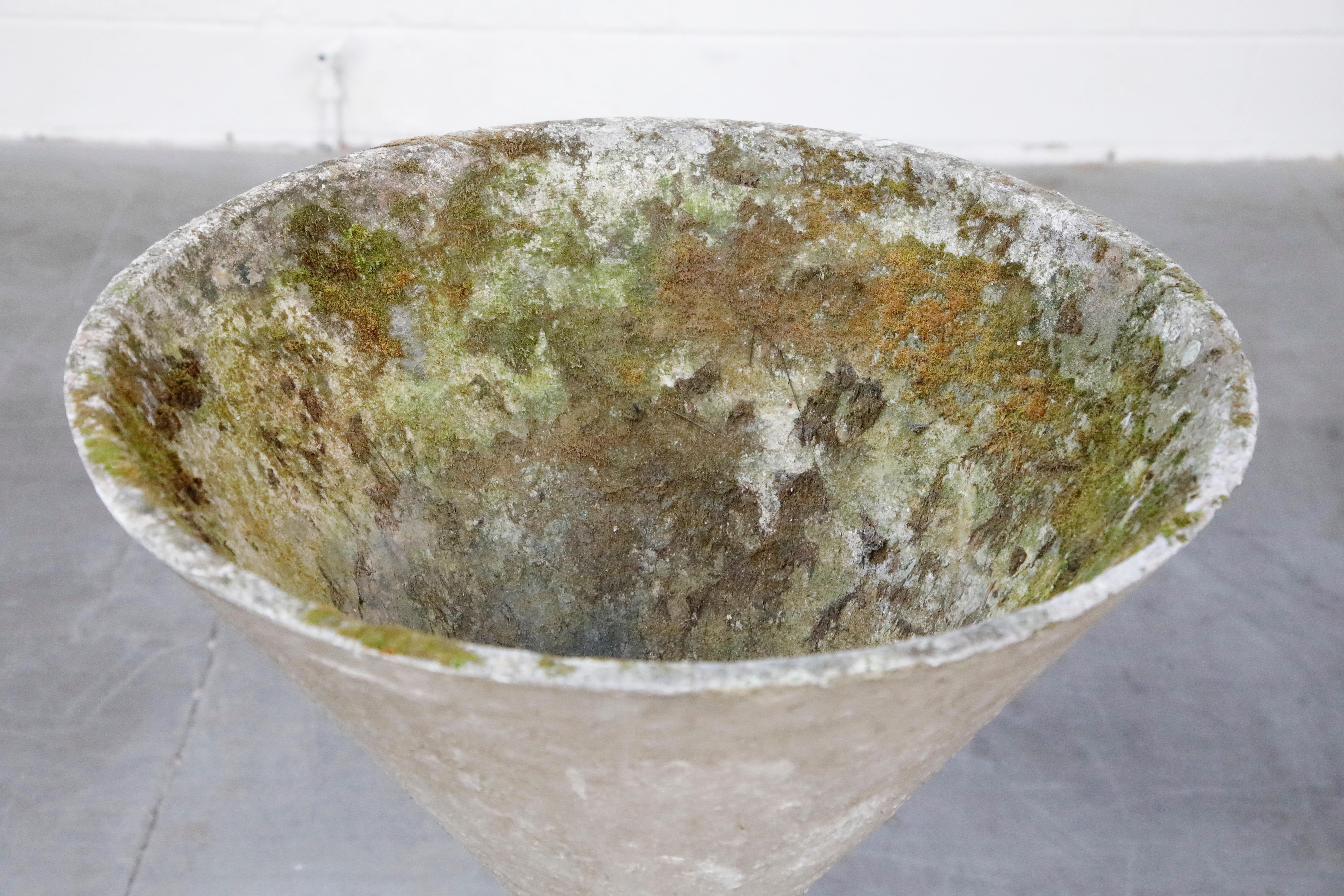 Willy Guhl for Eternit Extra-Large 'Diablo' Hourglass Concrete Planter, c. 1968 4