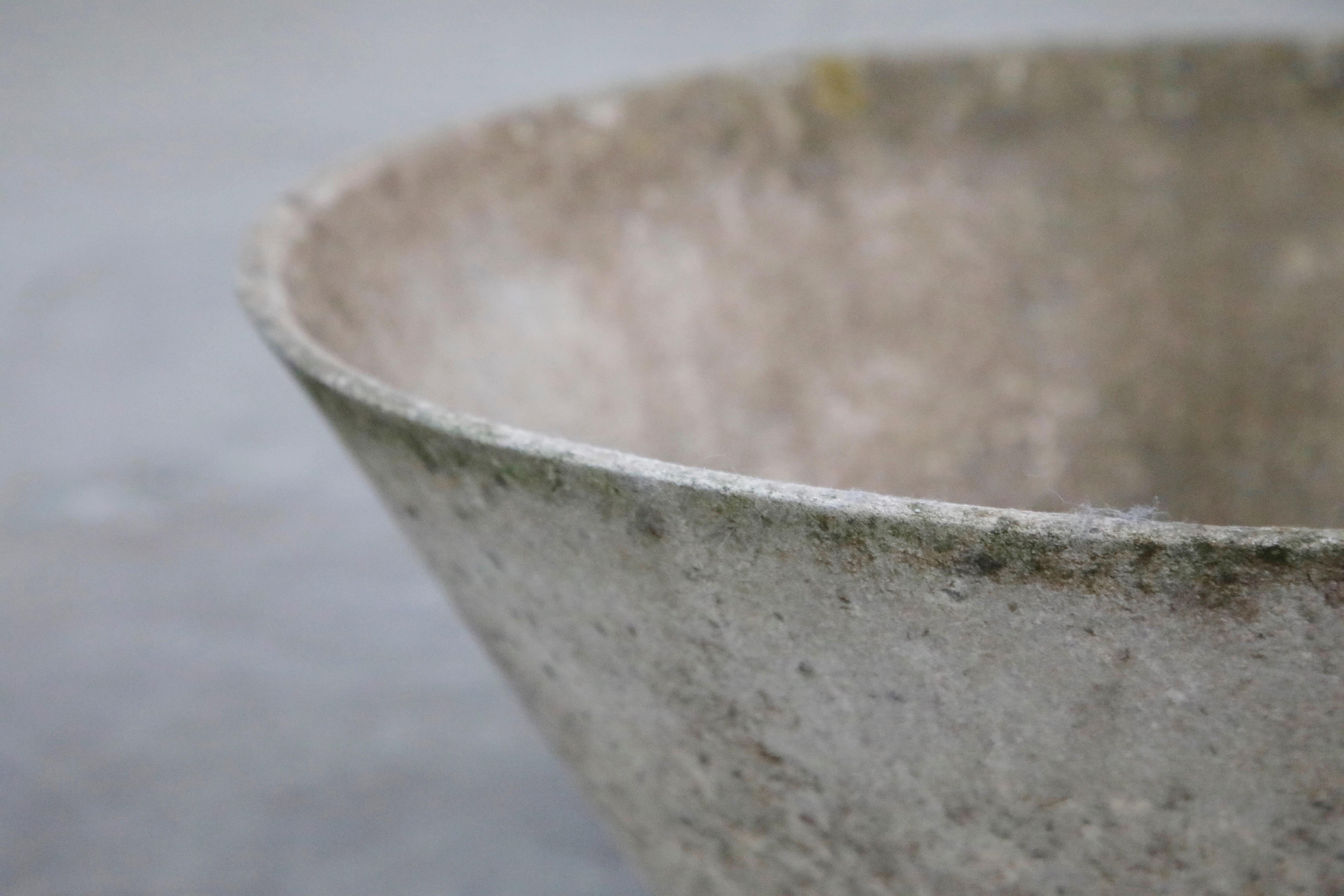 Mid-20th Century Willy Guhl for Eternit Large Cone Concrete Planters, circa 1968, Signed