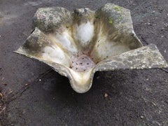 Willy Guhl for Eternit Large Handkerchief Elephant Ear Planter with Loss to Edge