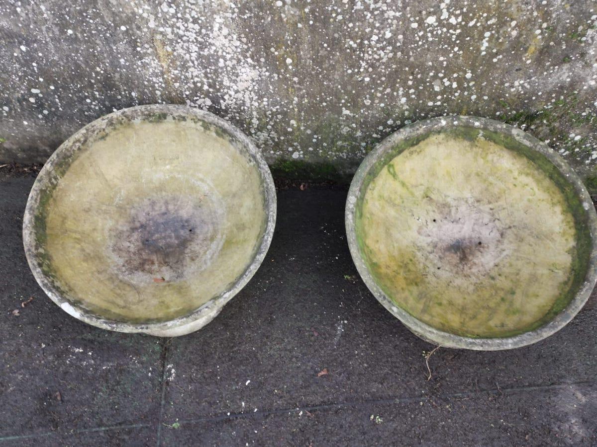 Cast Willy Guhl for Eternit, Mint Pair of Mid-Century Modern Concrete Garden Planters For Sale