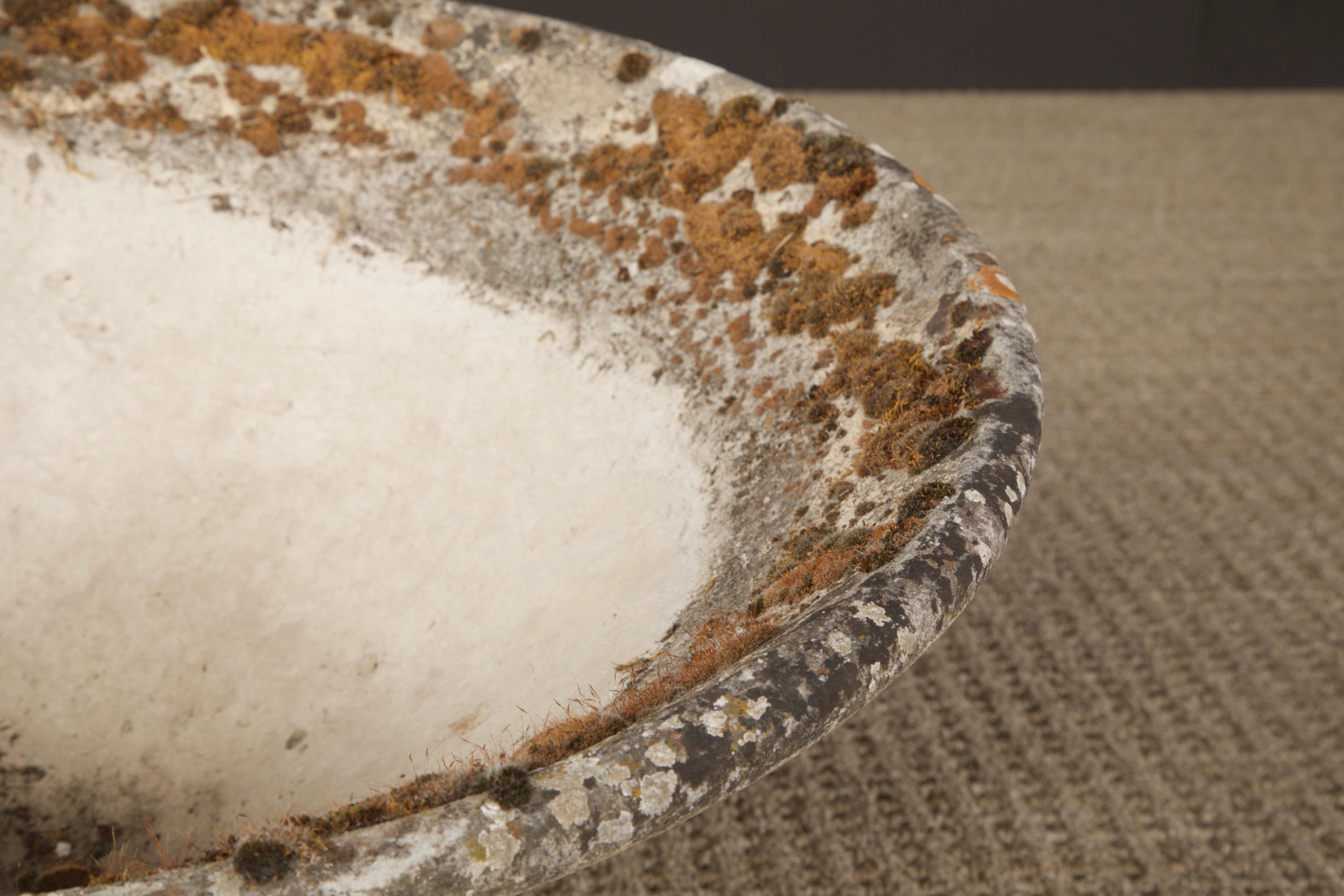Willy Guhl for Eternit Tilted Spindle Concrete Planter, circa 1968 For Sale 4